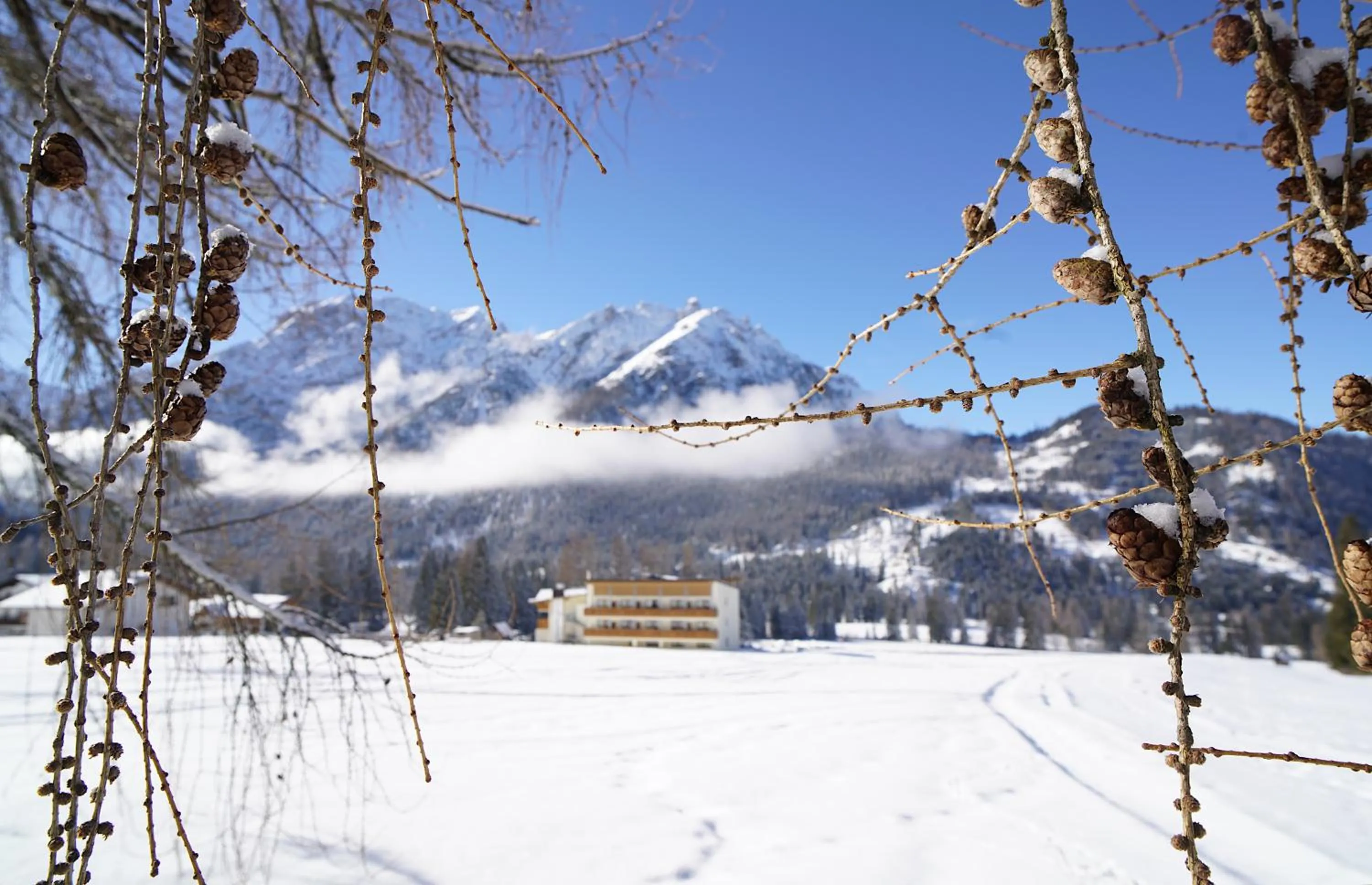 Property building in Hotel Asterbel