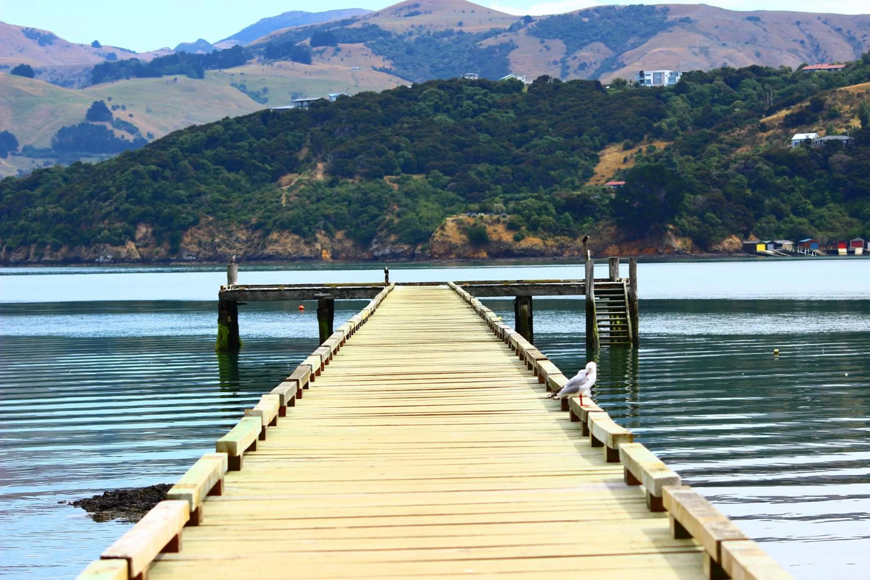 Duvauchelle Seaside Motel