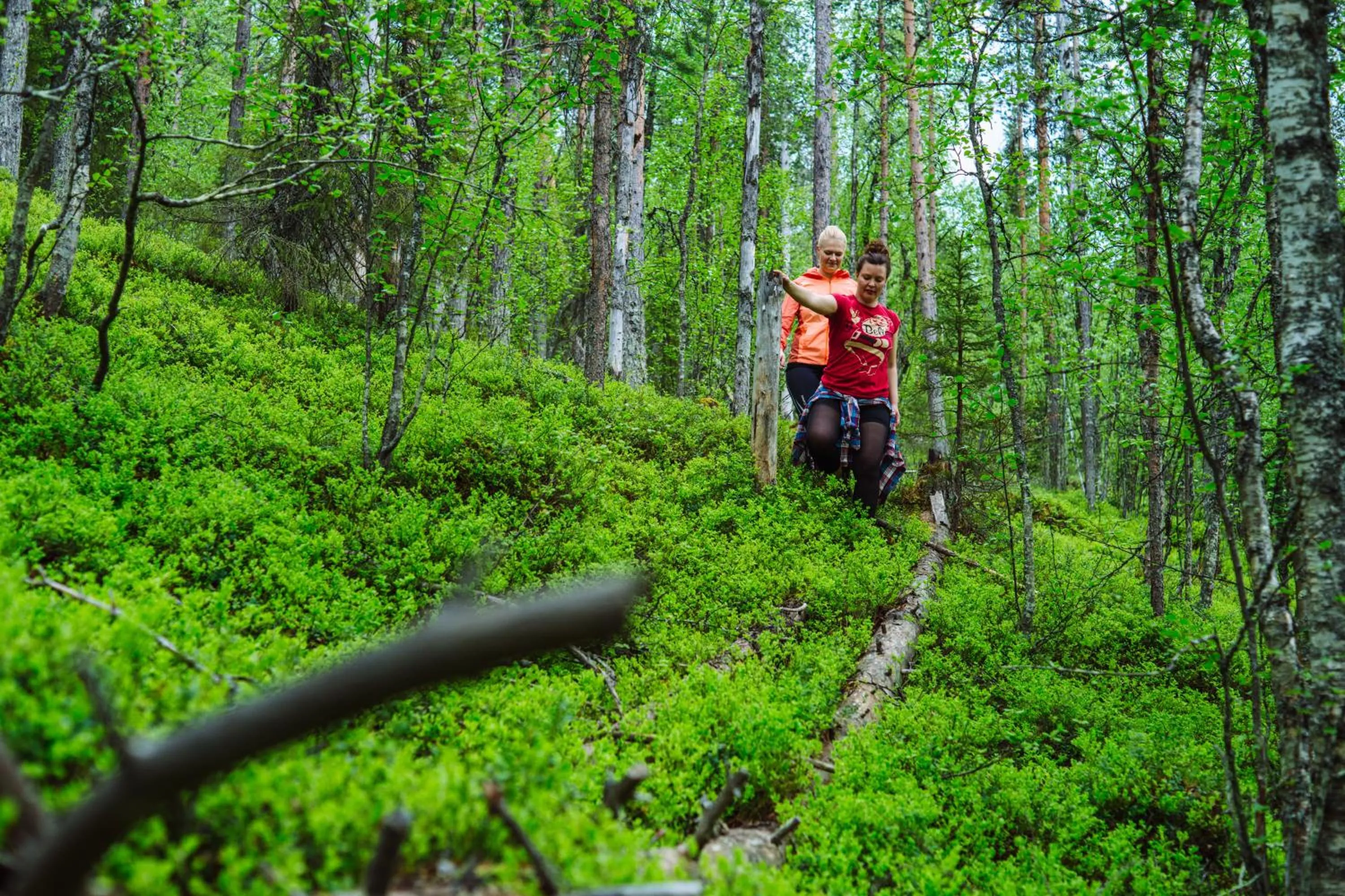 Activities in Levi Hotel Spa