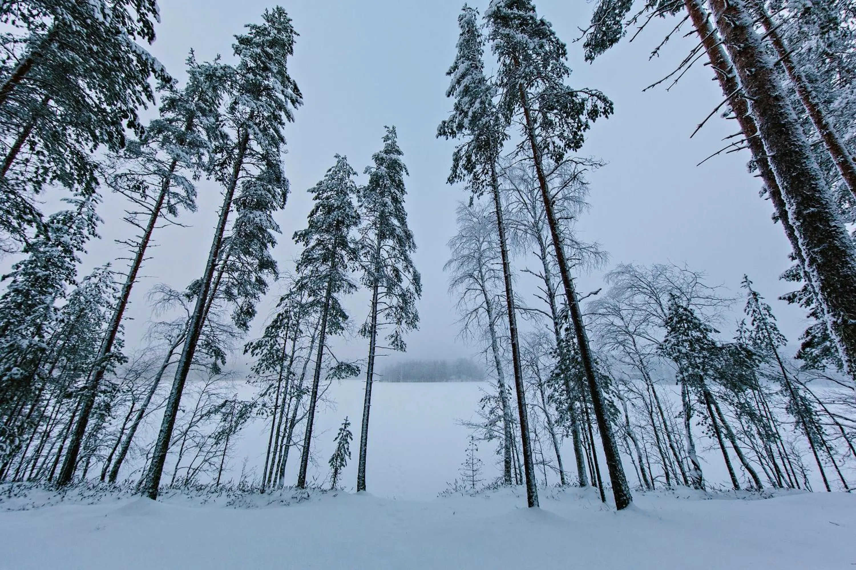 Winter in Rokua Health & Spa