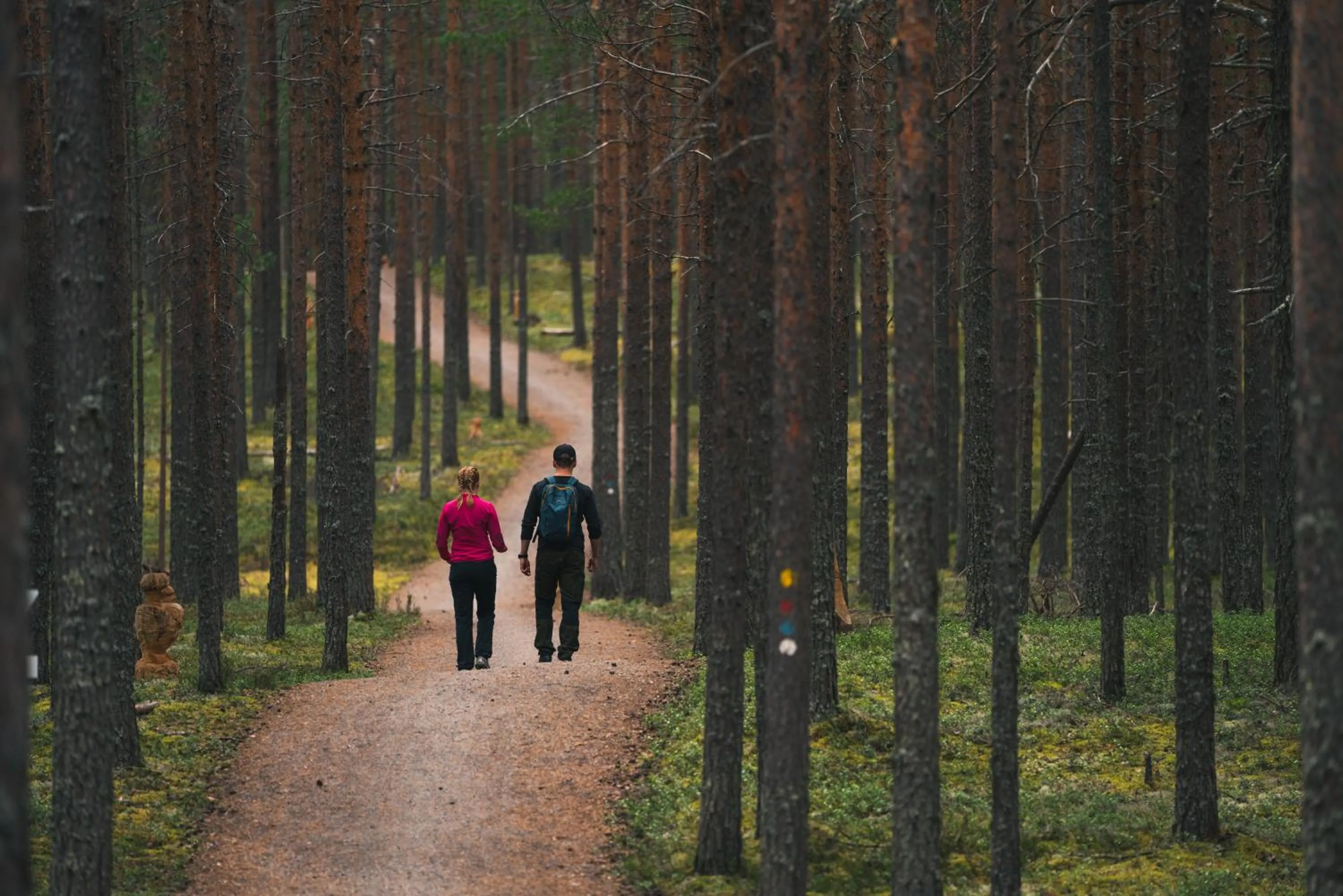 Hiking in Rokua Health & Spa