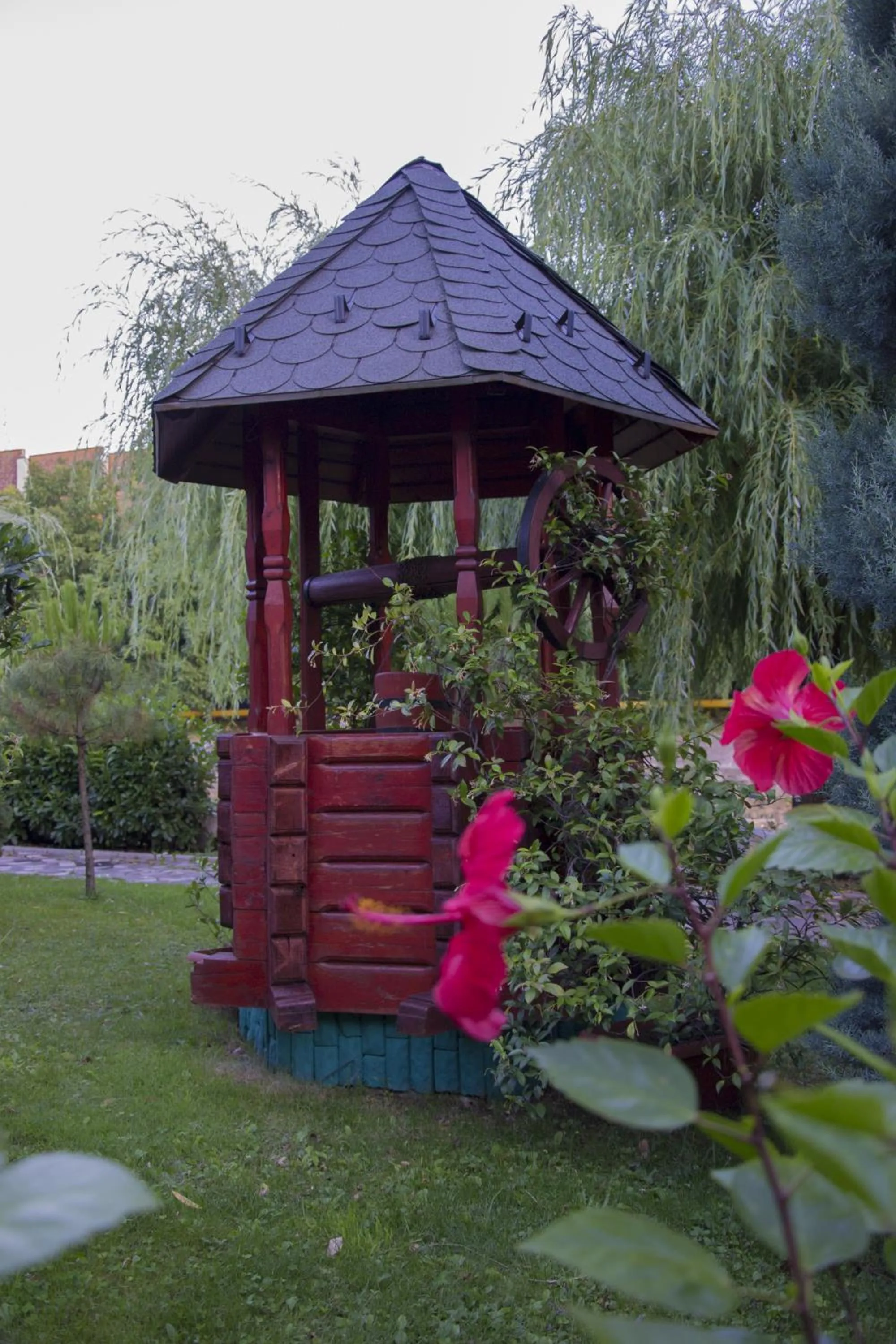 Garden in Hotel Carpati