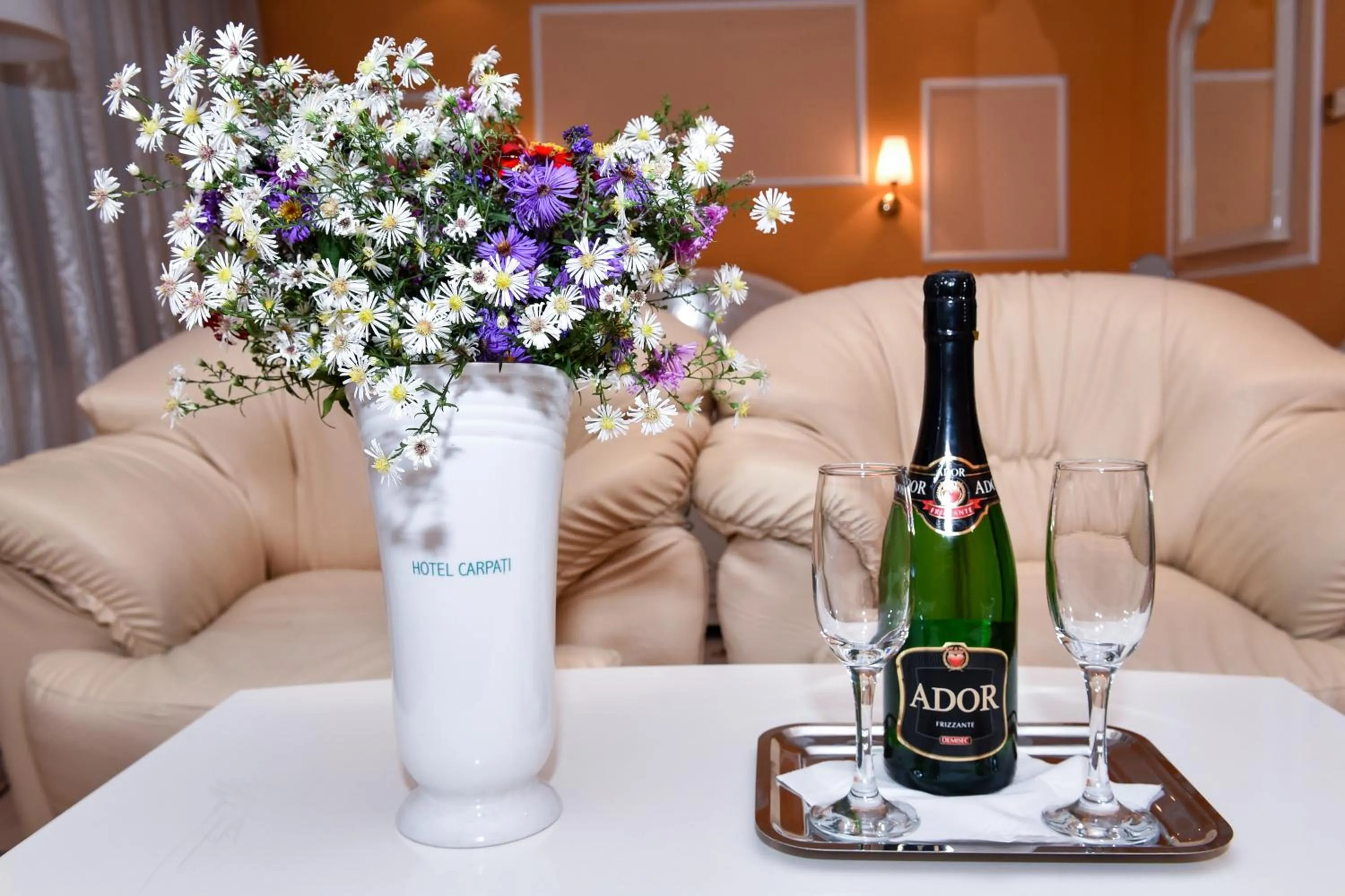 Living room in Hotel Carpati