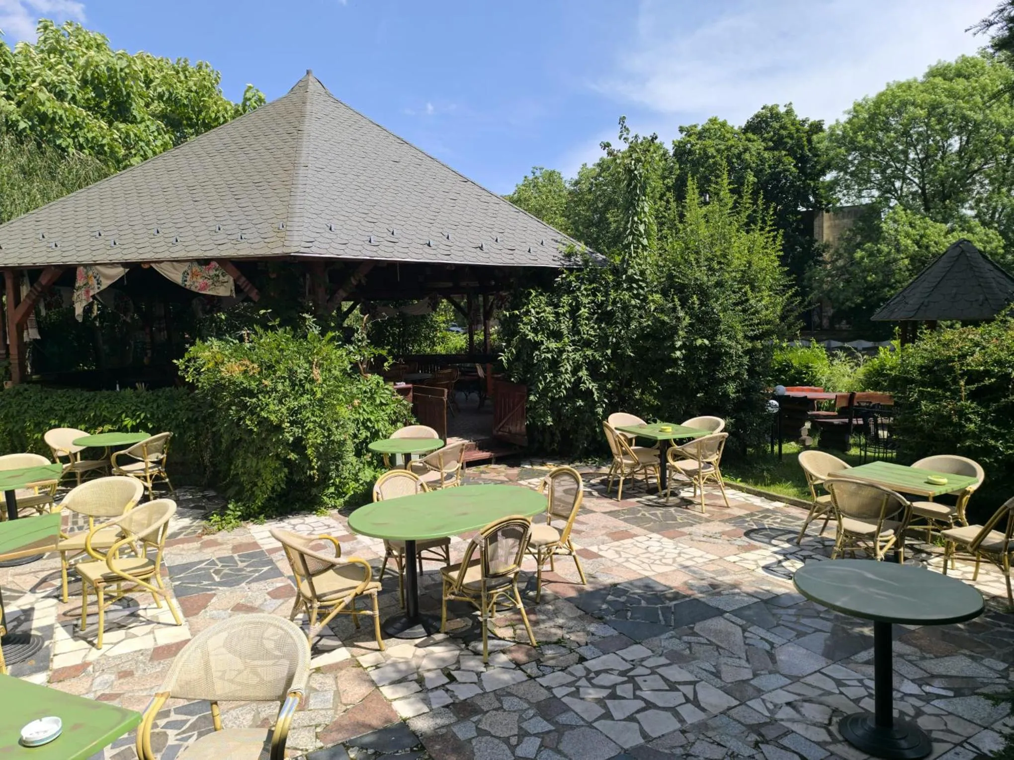 Garden in Hotel Carpati