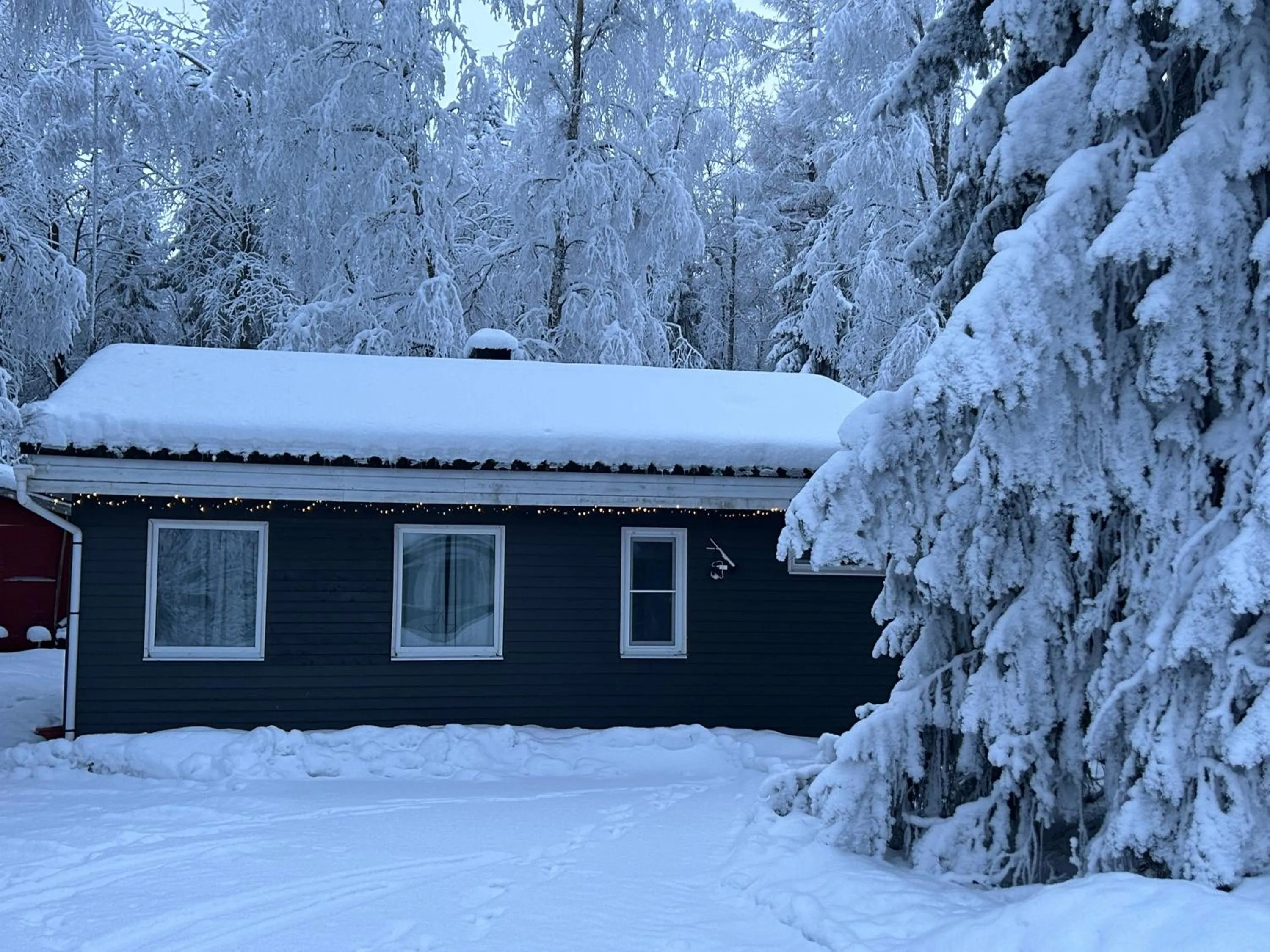 One-Bedroom Chalet - single occupancy in Hotel Yöpuu