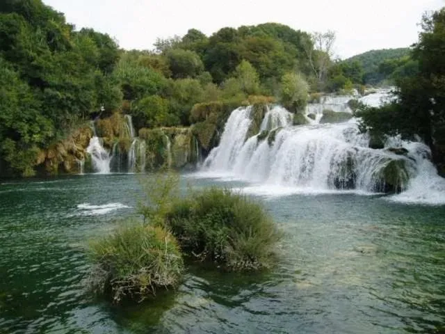 Natural landscape in Apartments Villa Bayview