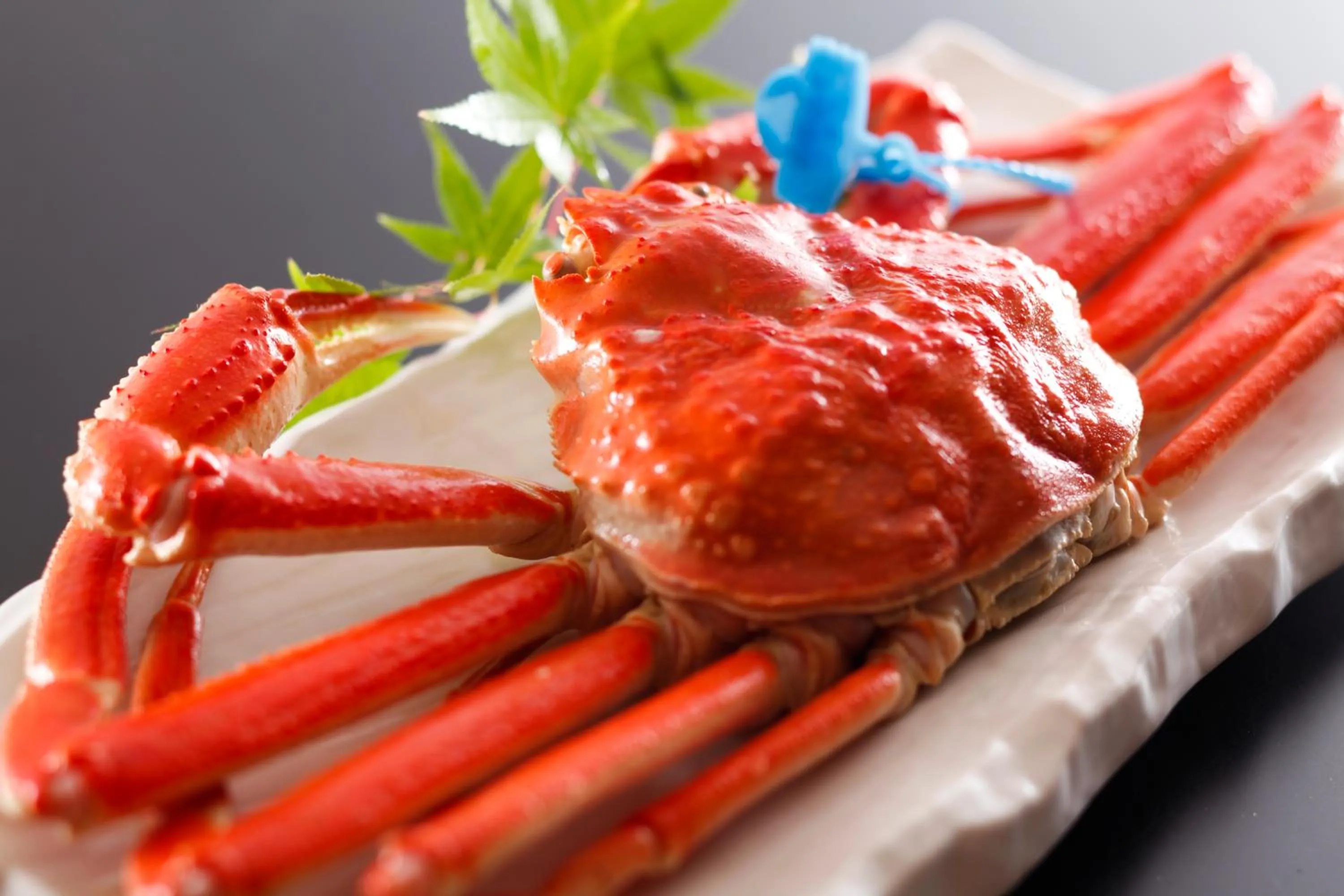 Food close-up in Kinosaki Onsen Hanakouji Saigetsu