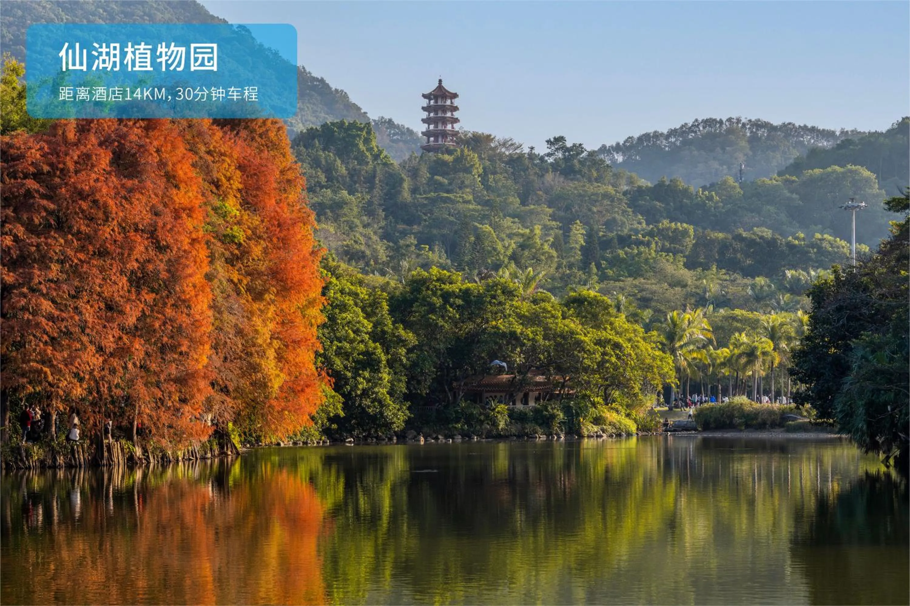 Activities in Shenzhen Grand Skylight Garden Hotel