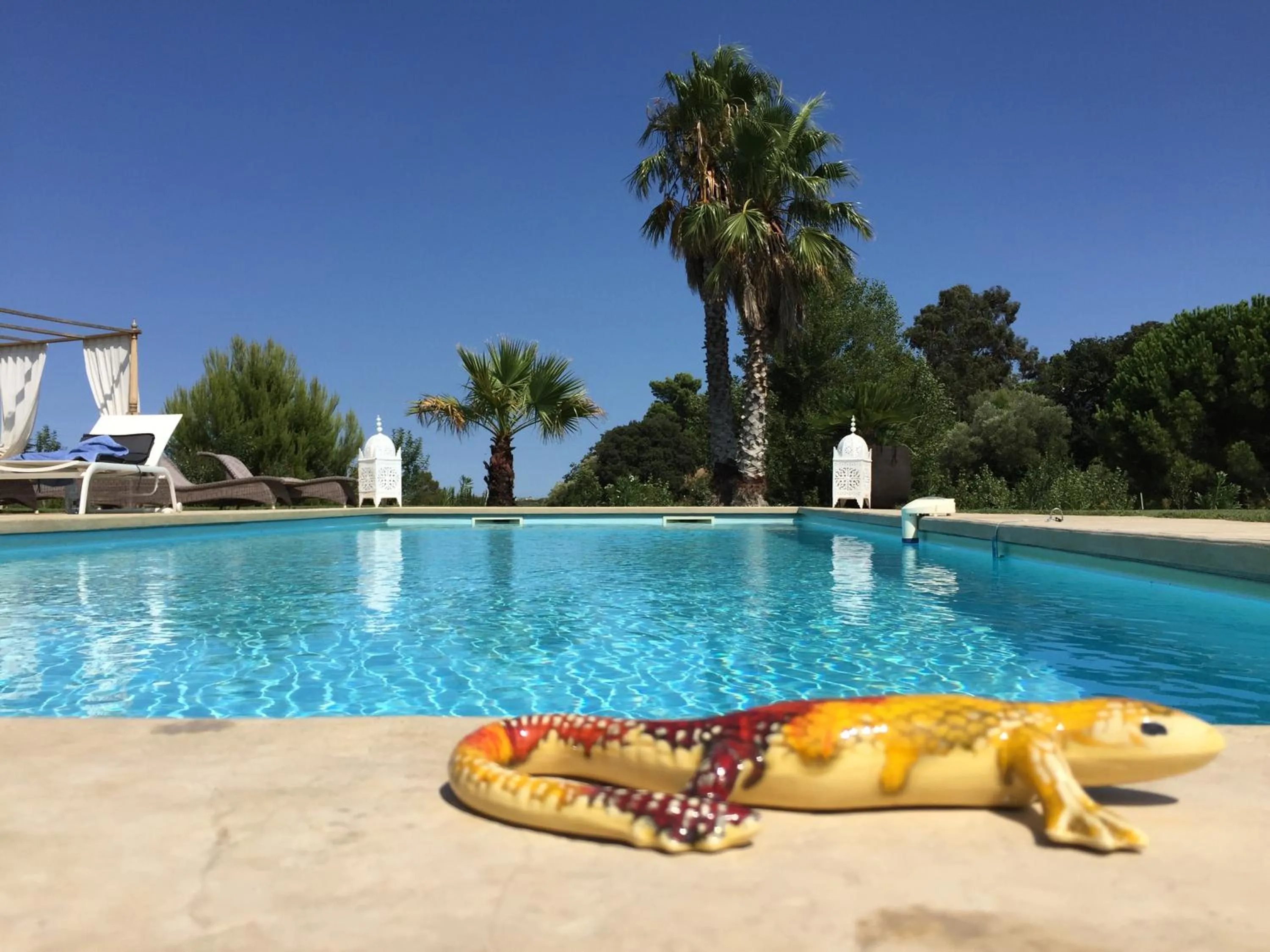 Escapades Lointaines