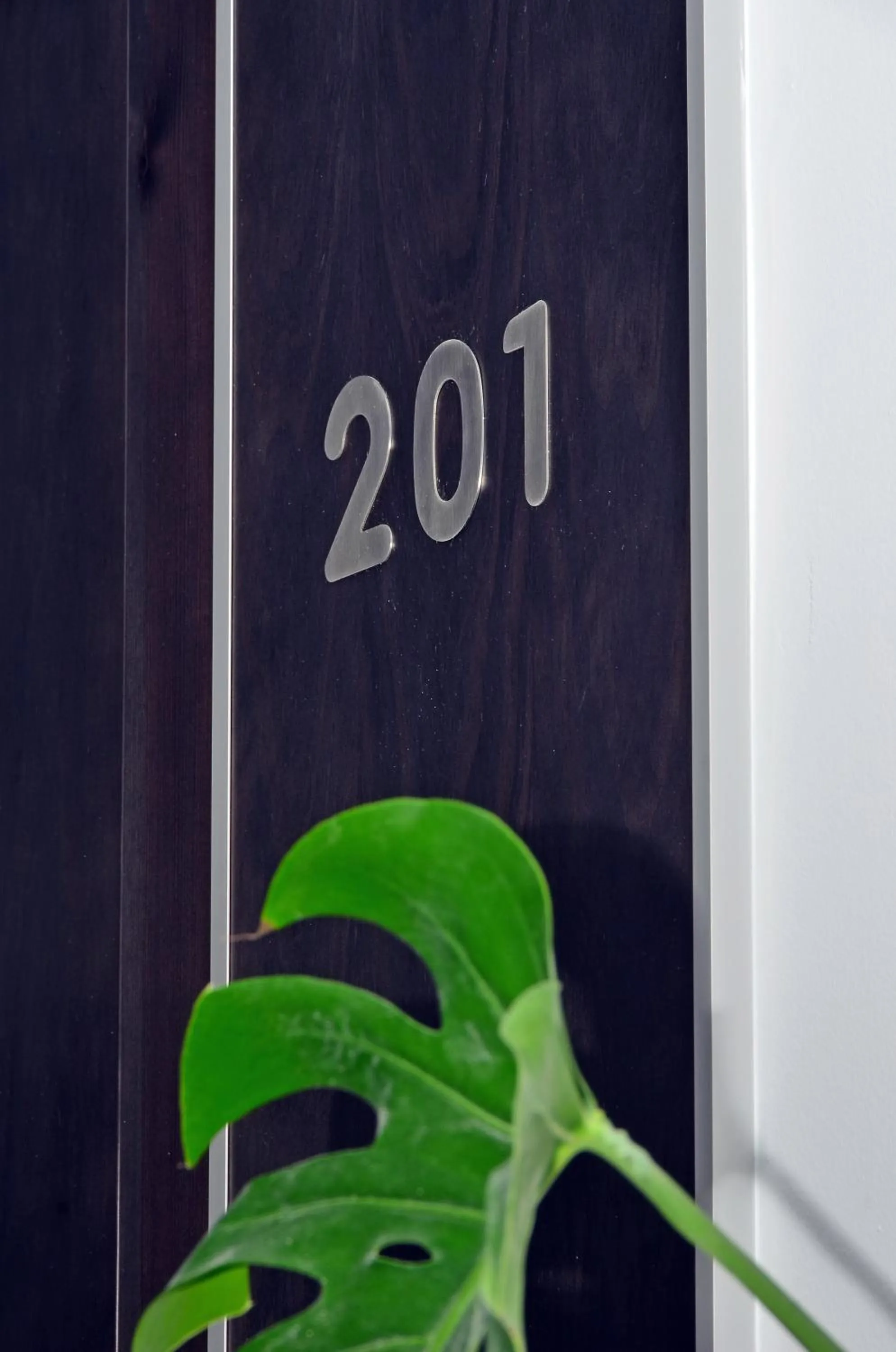 Facade/entrance in Hotel Campito