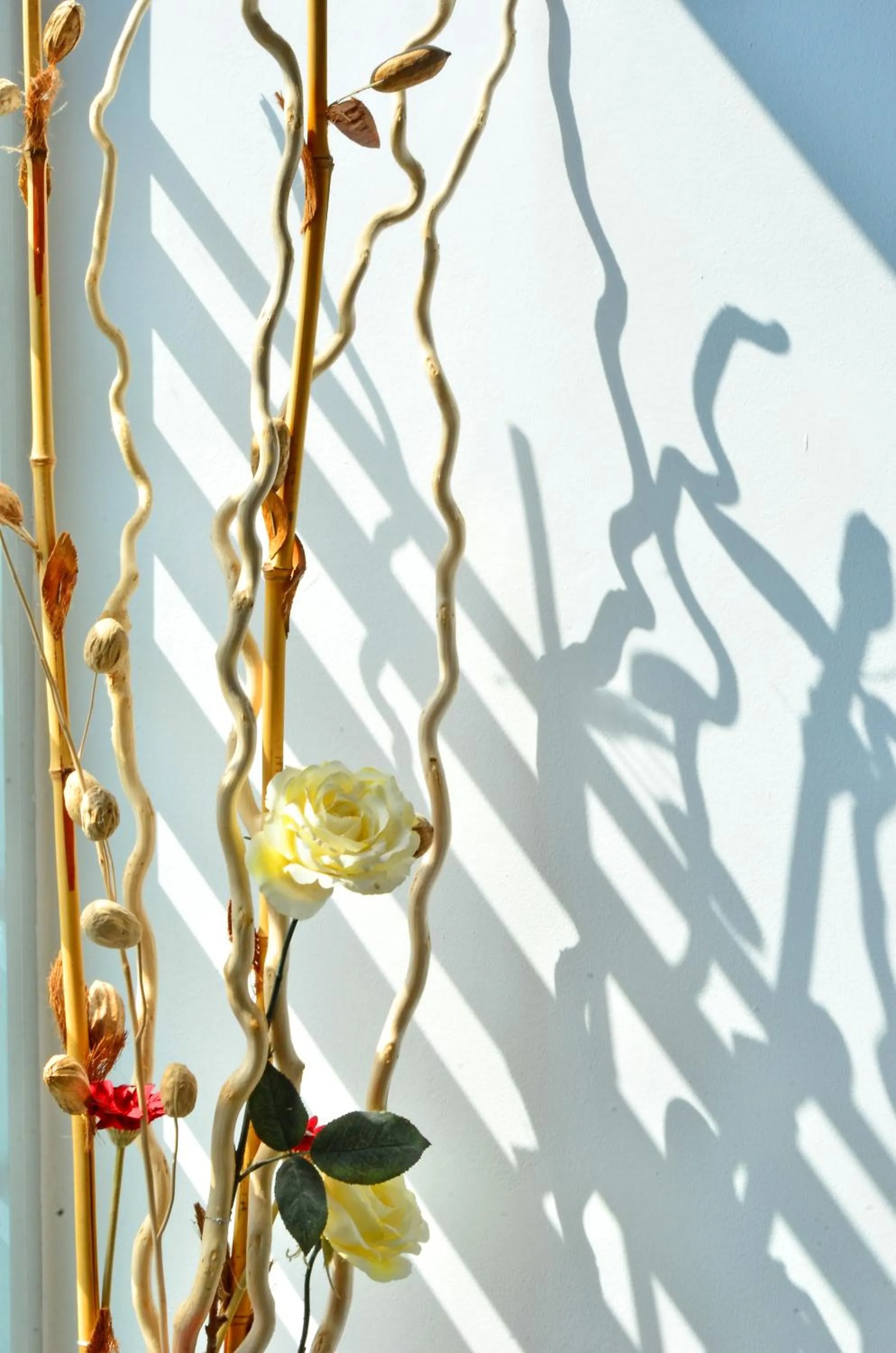 Lobby or reception in Hotel Campito