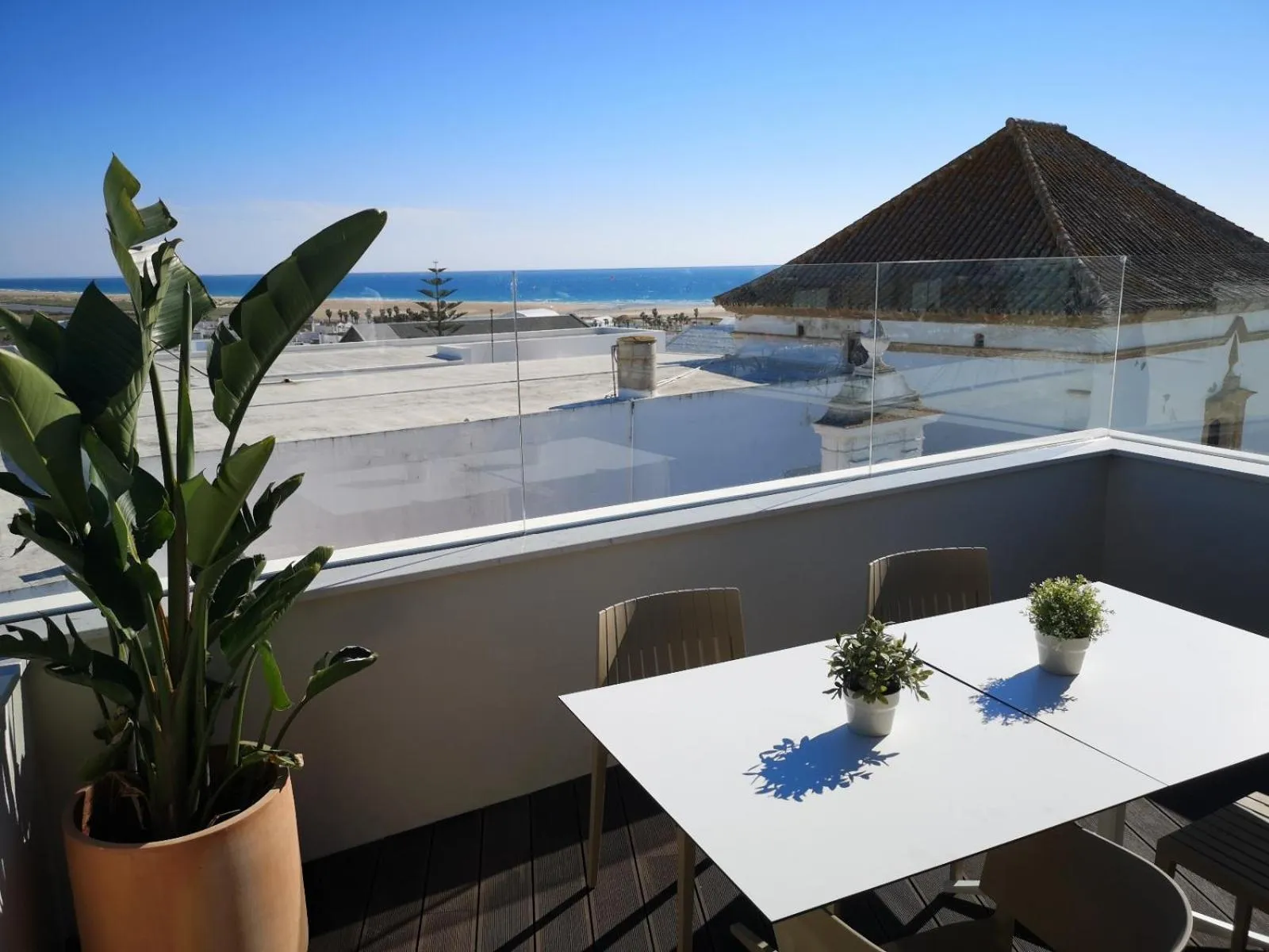 Area and facilities in Hotel Campito