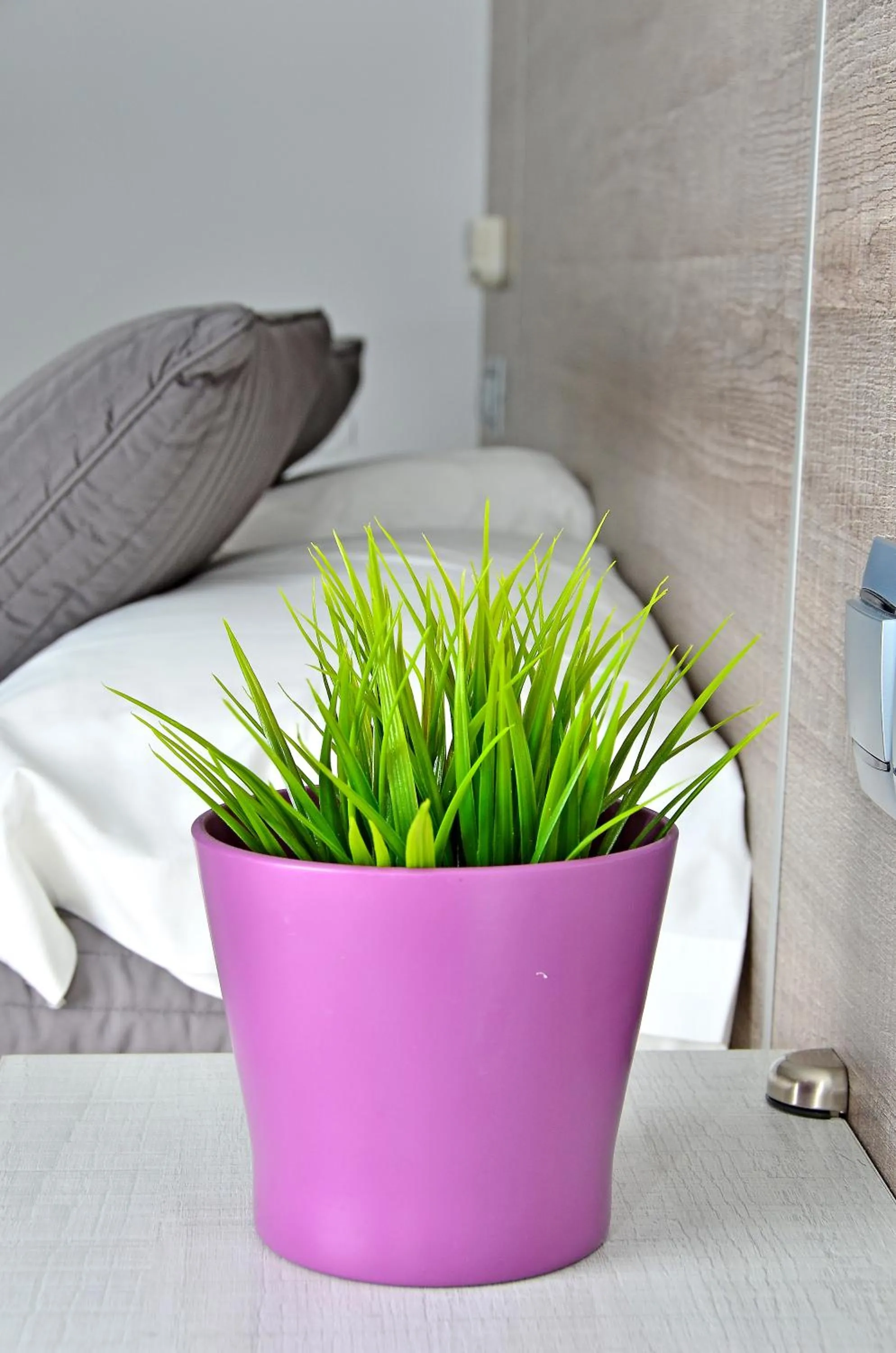 Decorative detail, Bed in Hotel Campito
