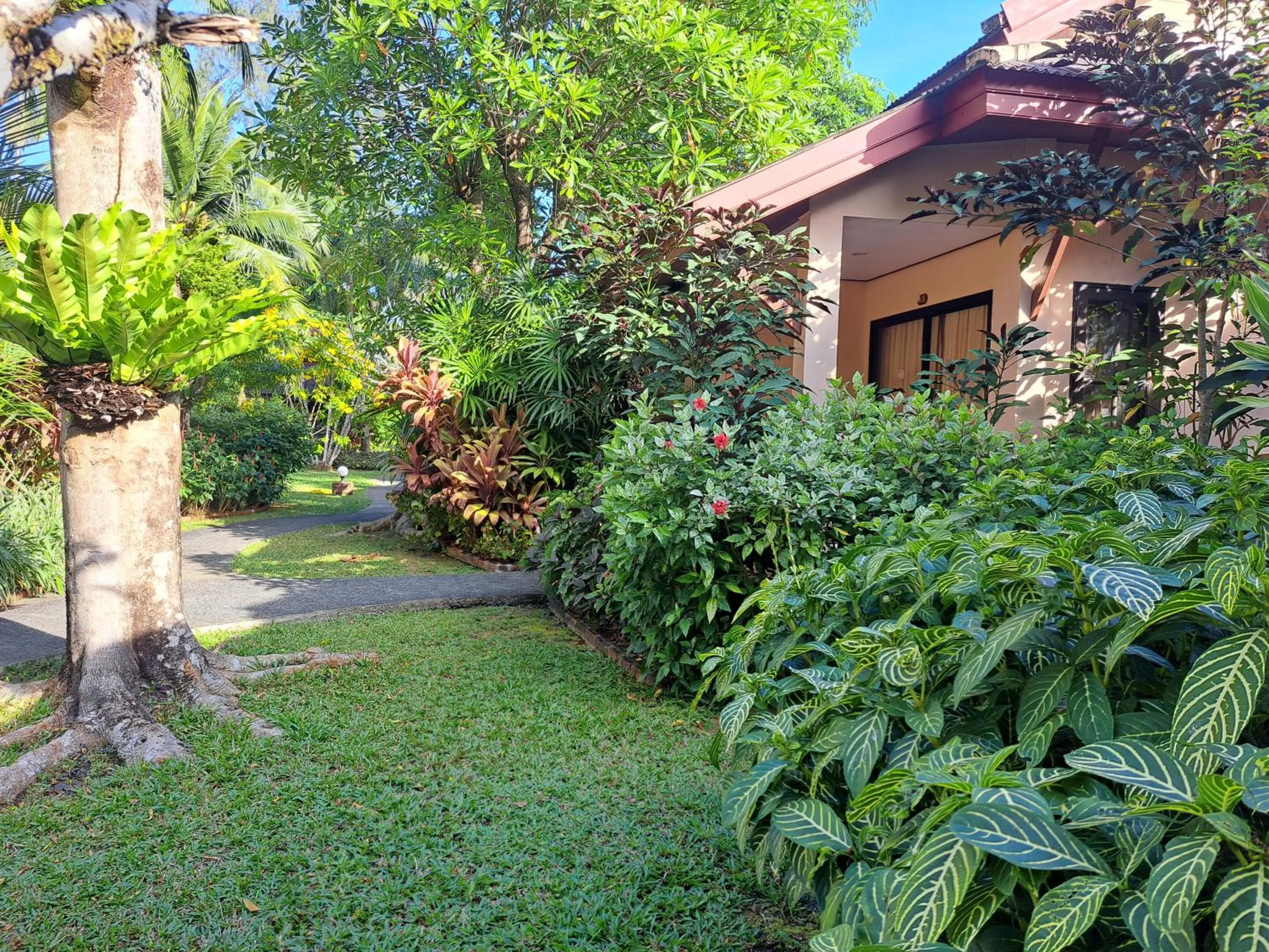 Jasmin Resort - SHA Plus