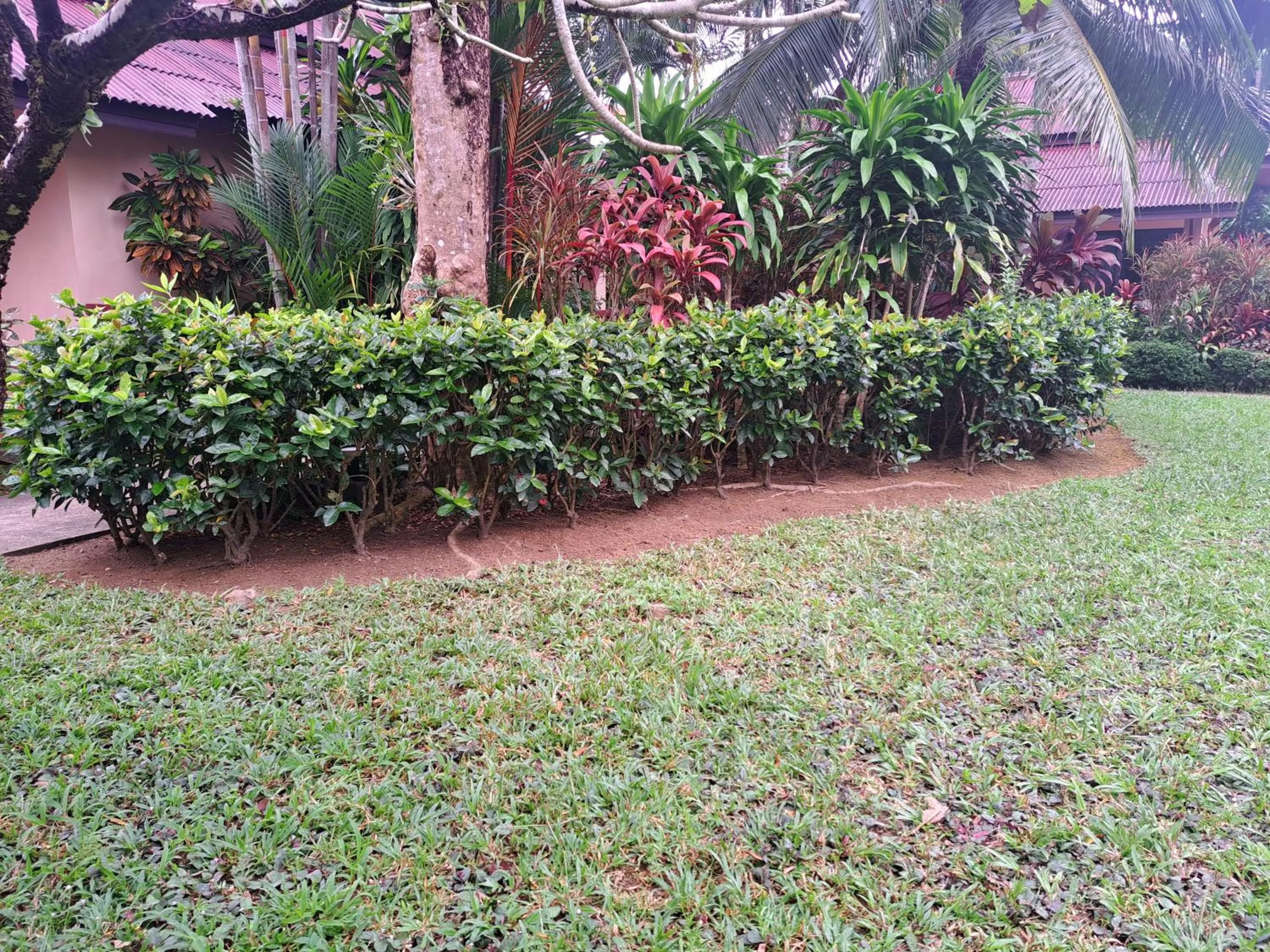 Jasmin Resort - SHA Plus