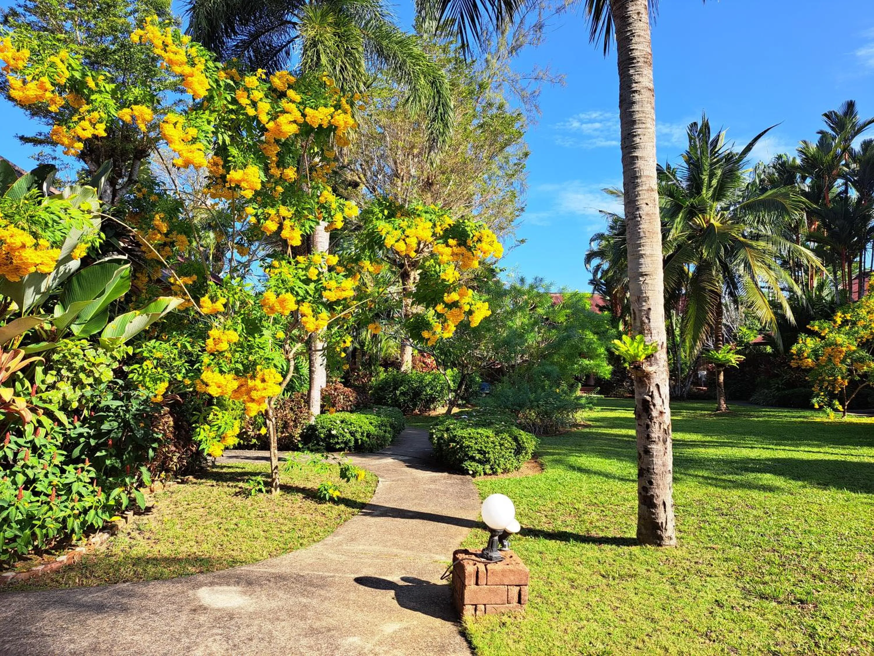 Jasmin Resort - SHA Plus