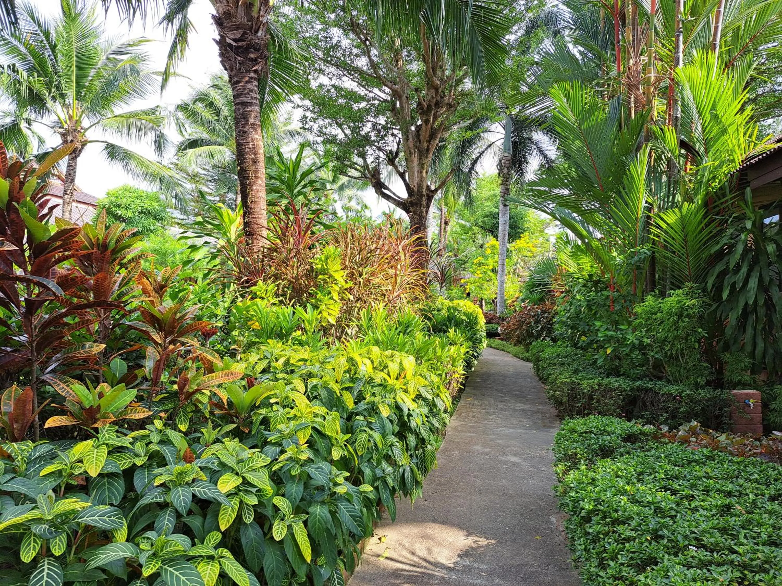 Jasmin Resort - SHA Plus