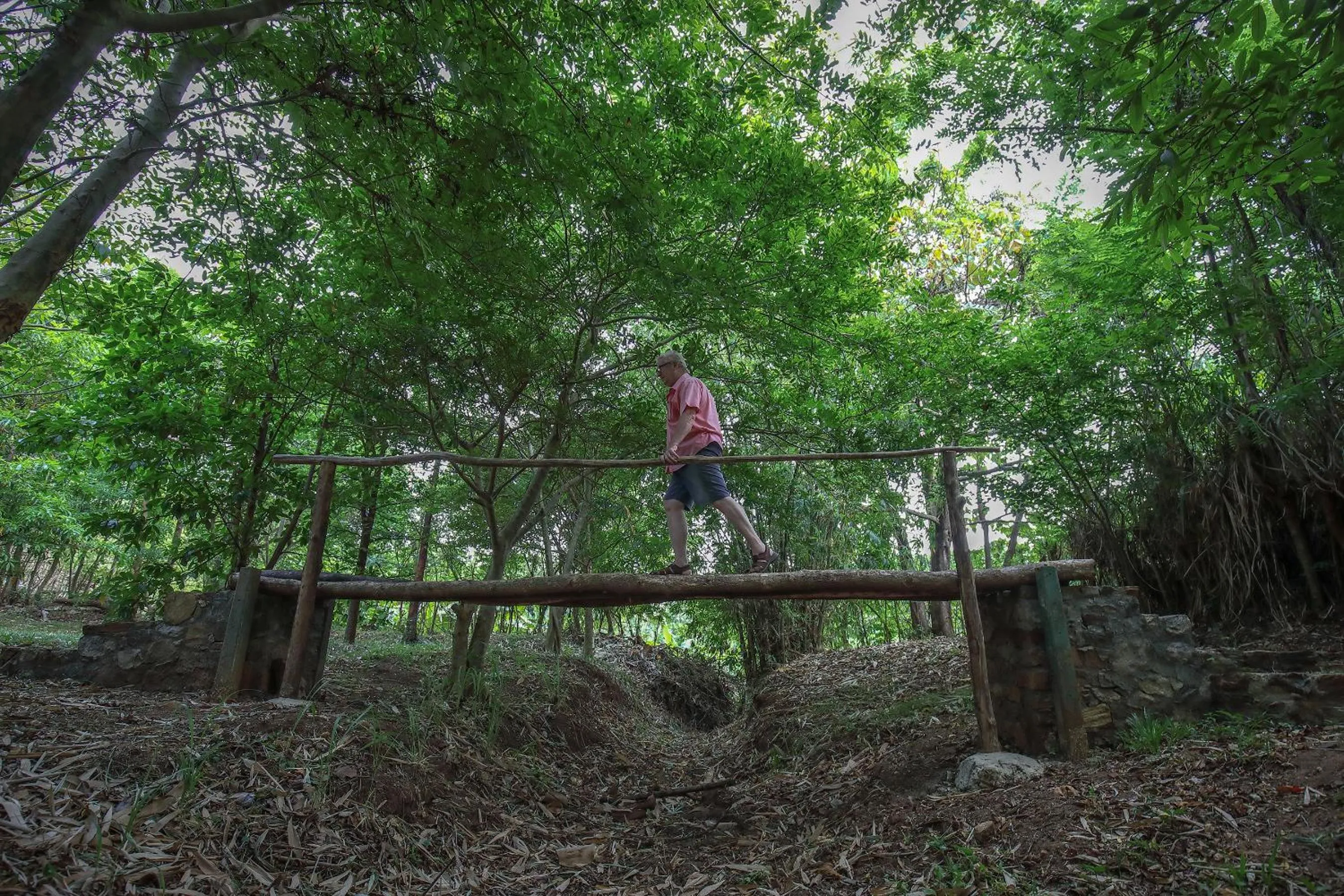 Natural landscape in Flamboyant Villas