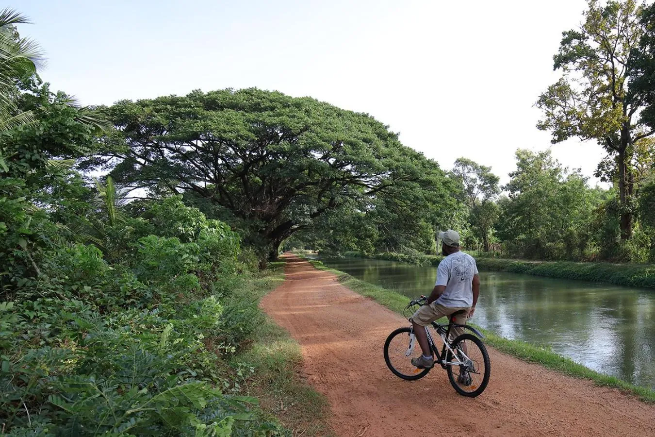 Natural landscape in Flamboyant Villas