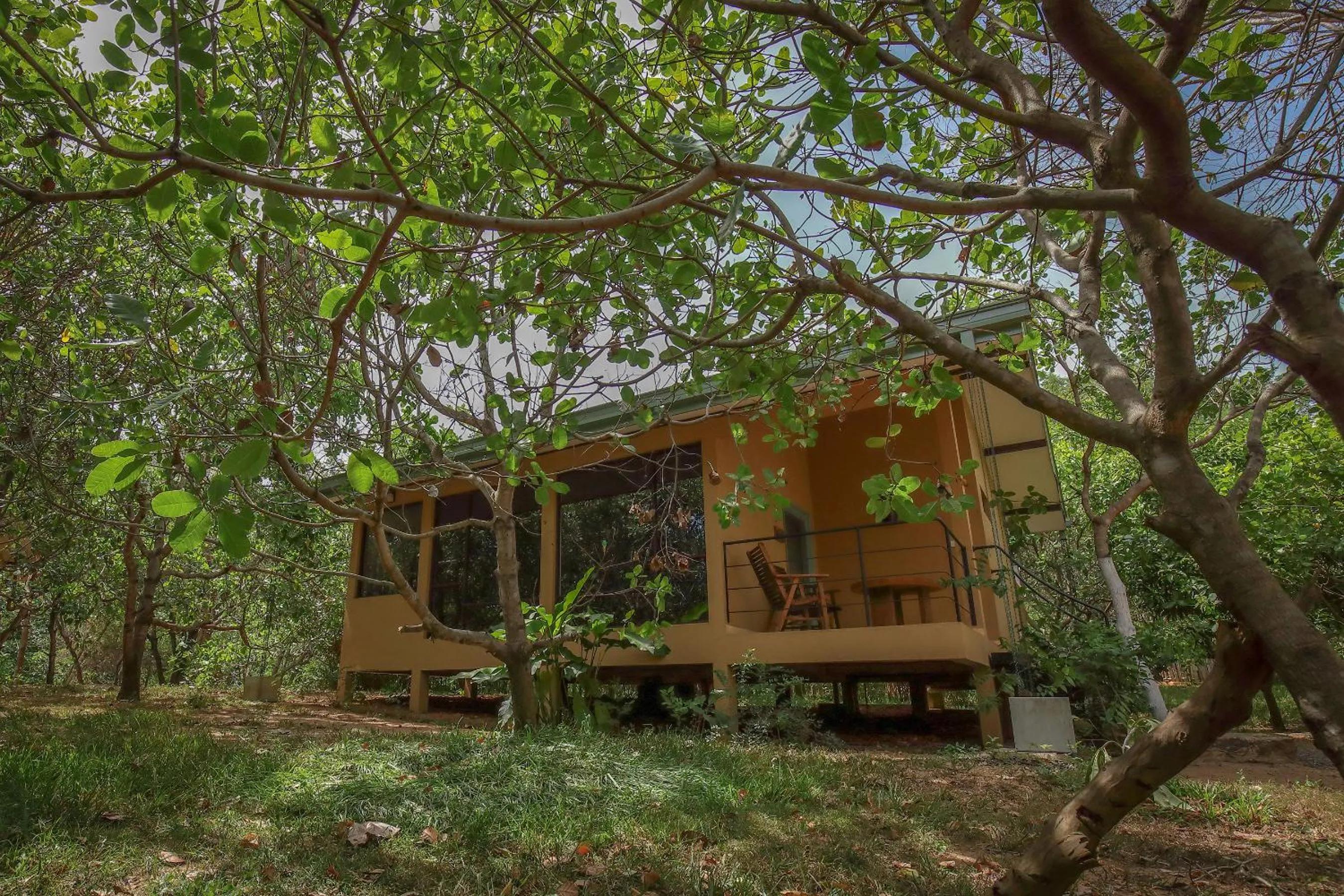 Garden in Flamboyant Villas