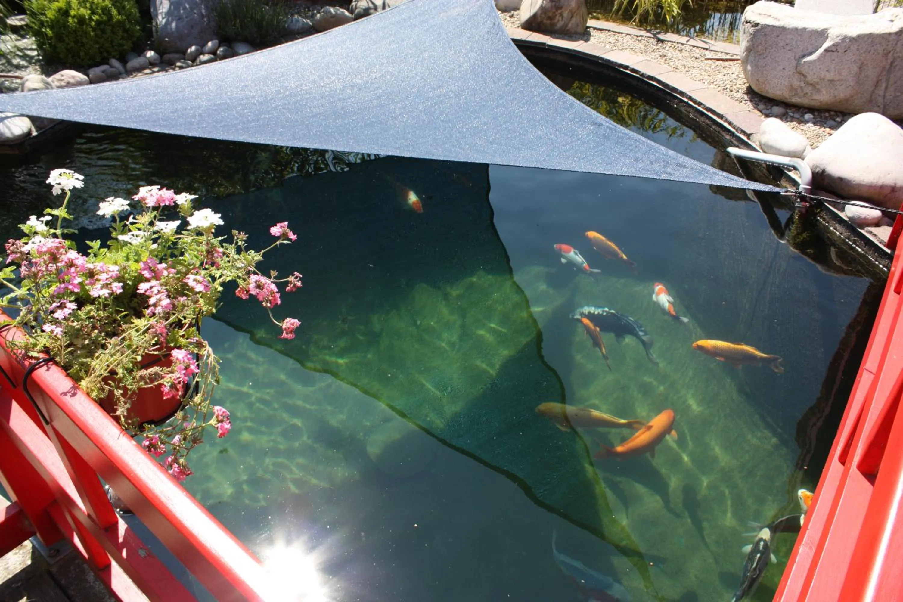 Garden in Hotel Koi-Gartenteich