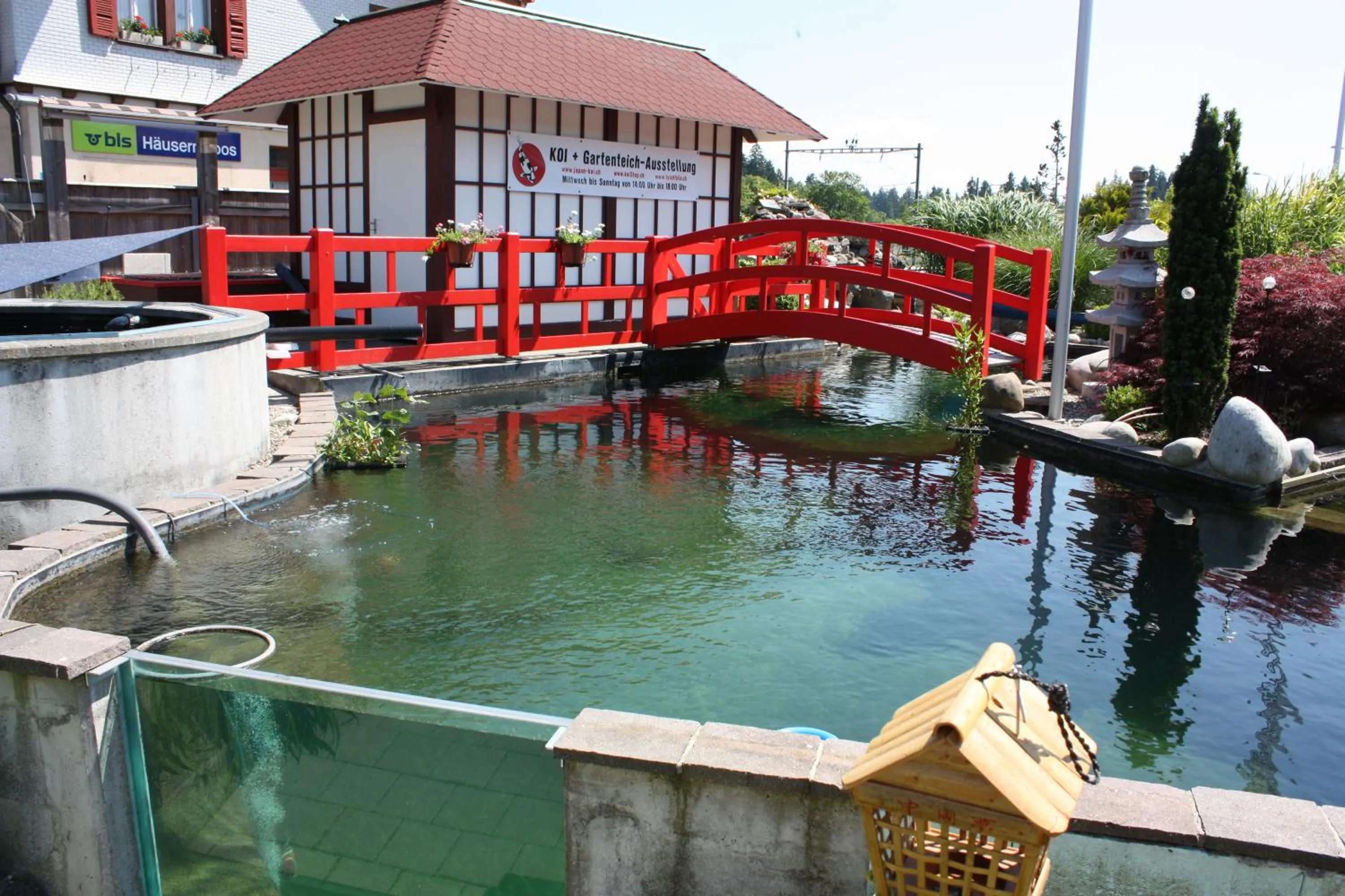 Garden in Hotel Koi-Gartenteich