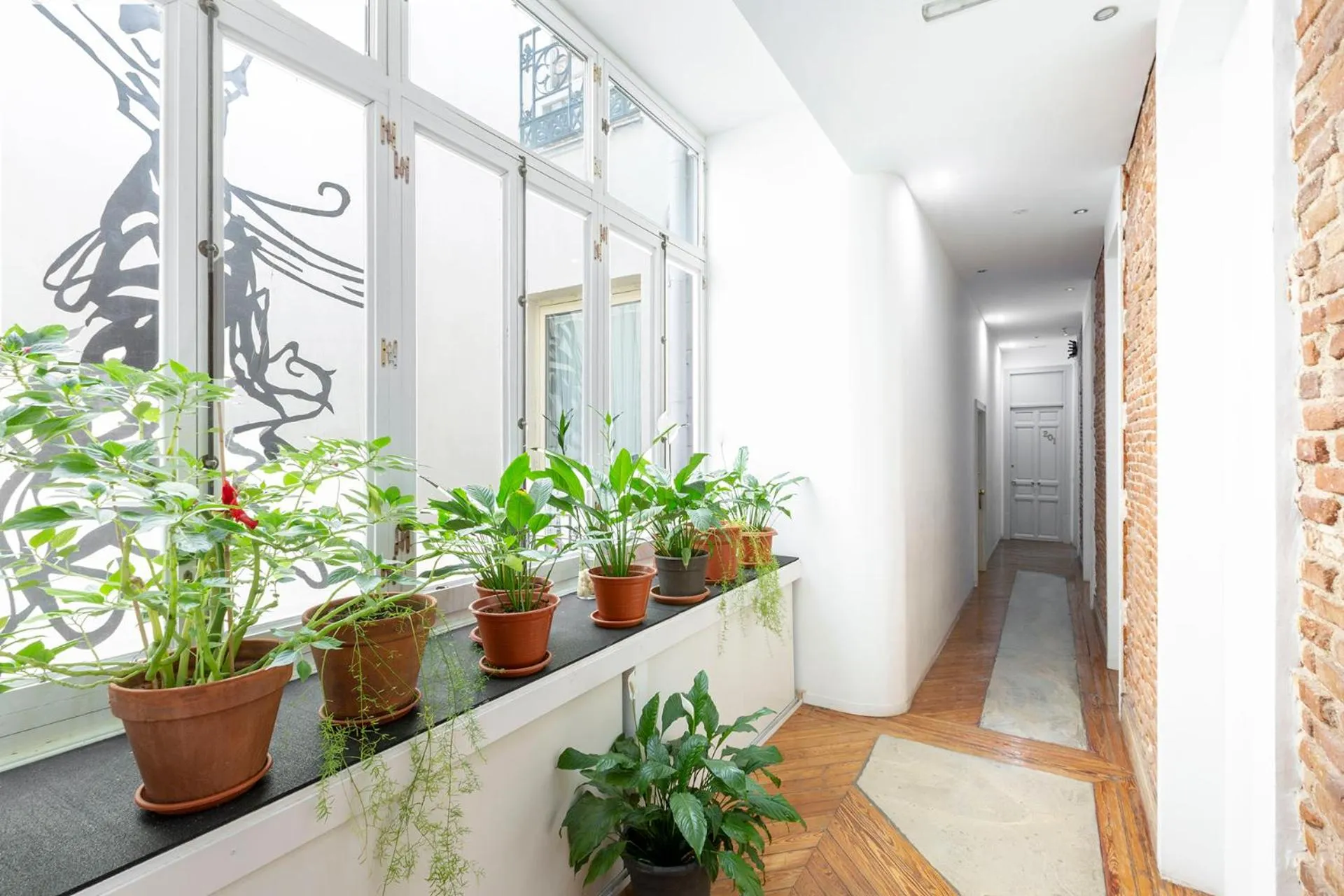 Apartamentos Matute 11