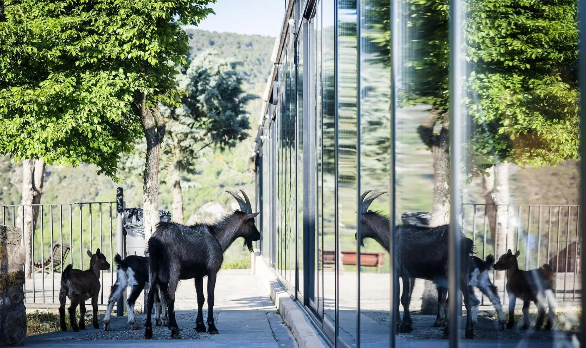 Day in Ligüerre Resort