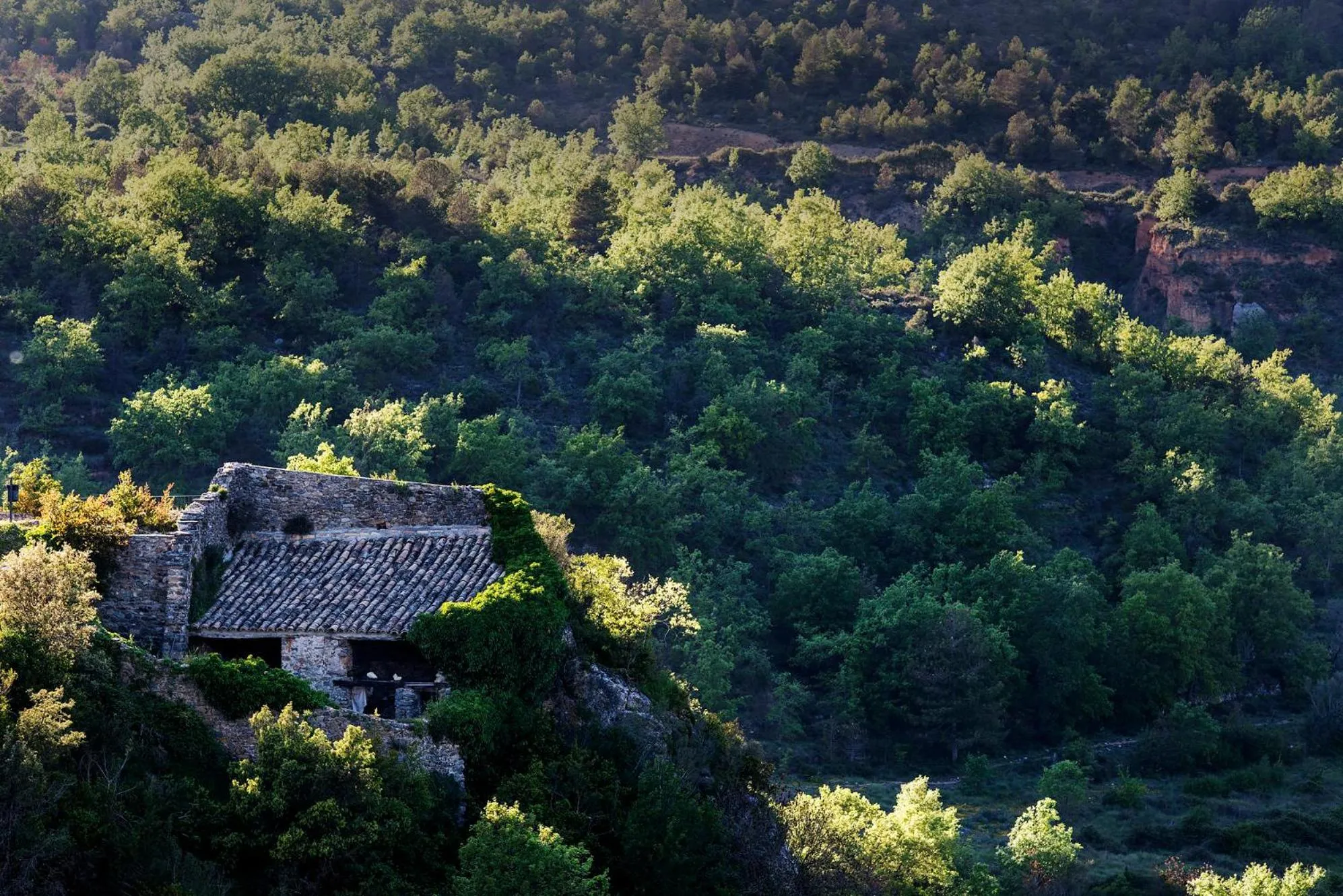 Natural landscape in Ligüerre Resort