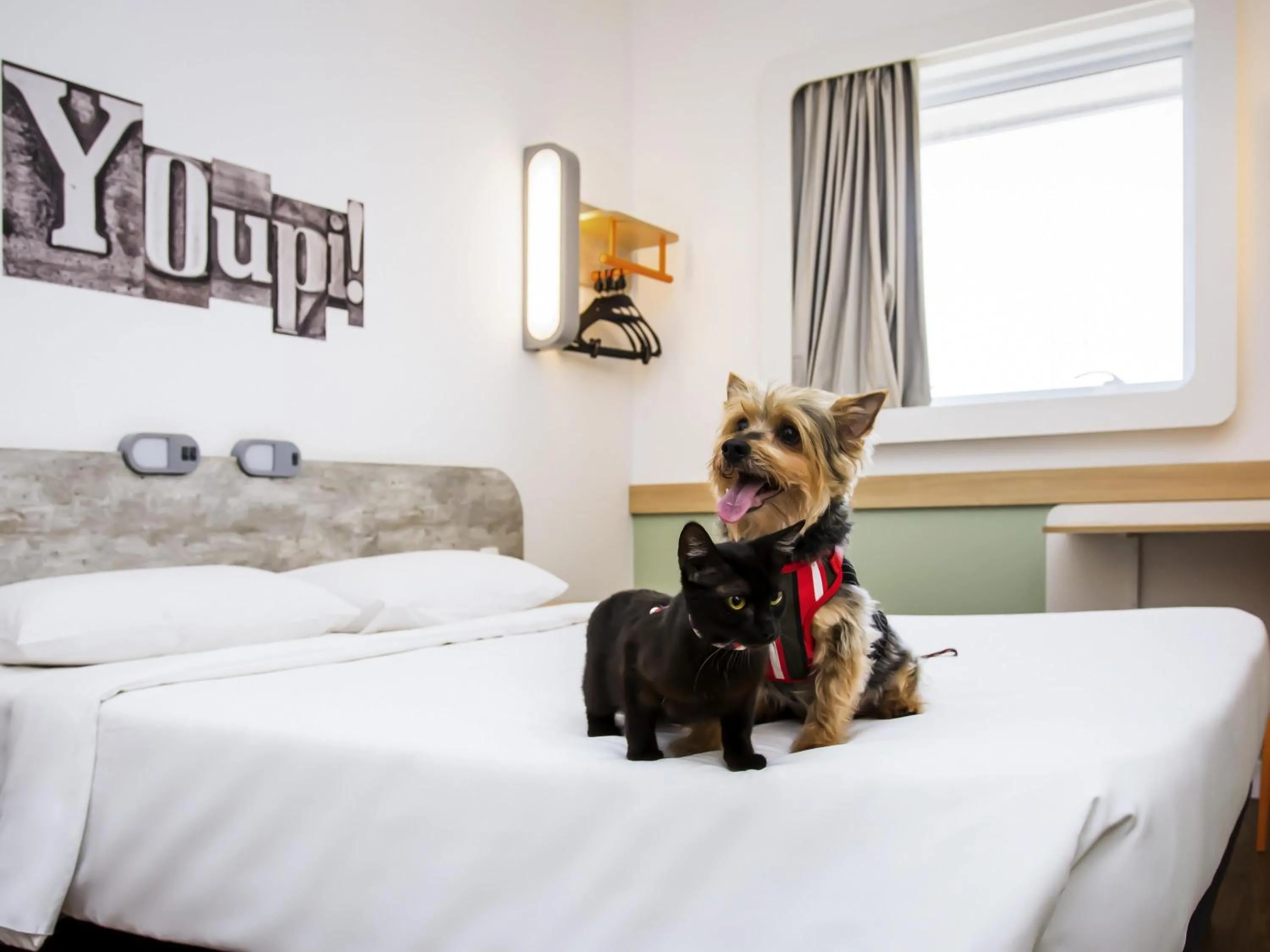 Bedroom, Bed in ibis budget Campinas Aquidaban