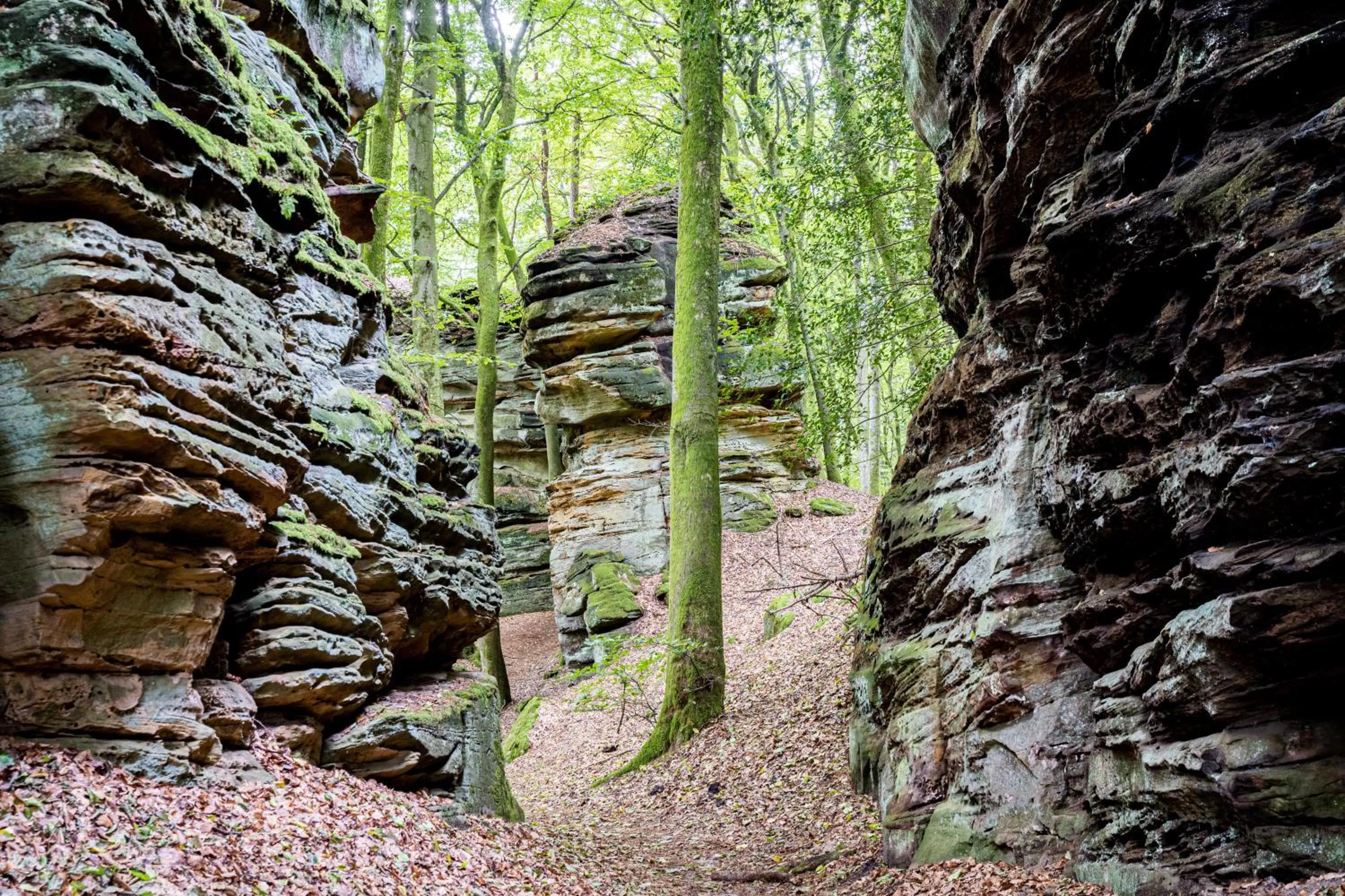 Off site in Waldhotel Sonnenberg