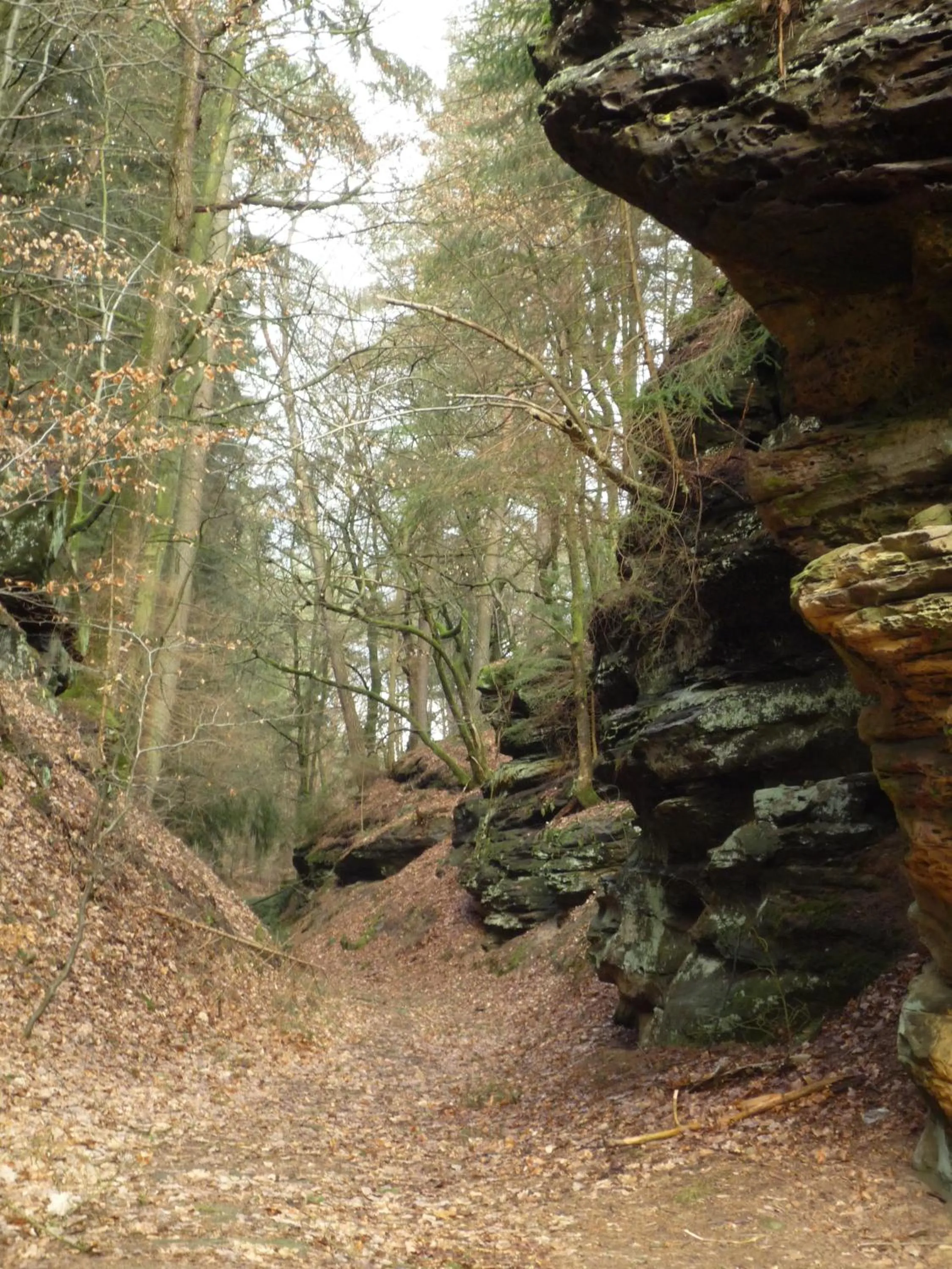 Nearby landmark in Waldhotel Sonnenberg