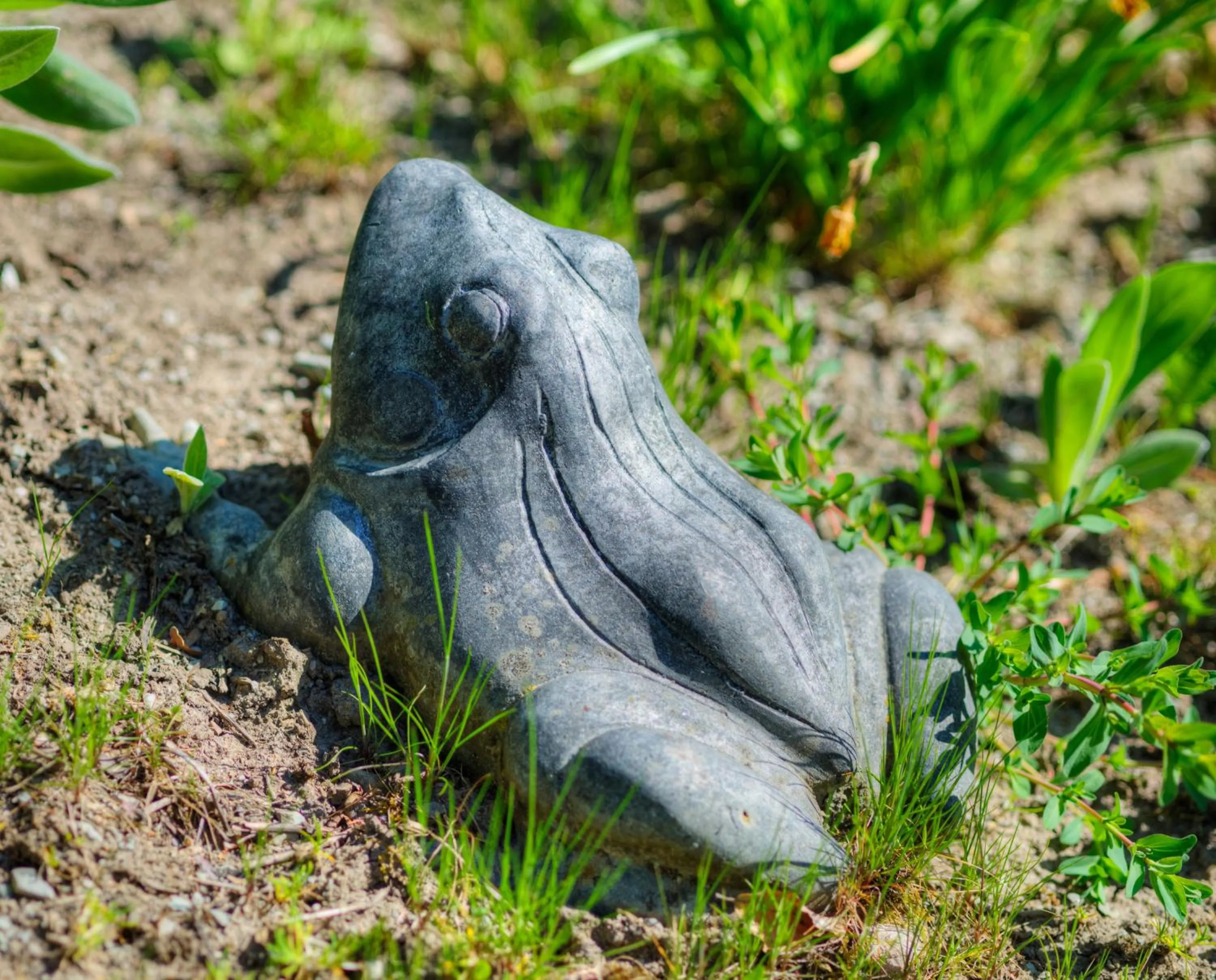 Balcony/Terrace in Waldhotel Sonnenberg