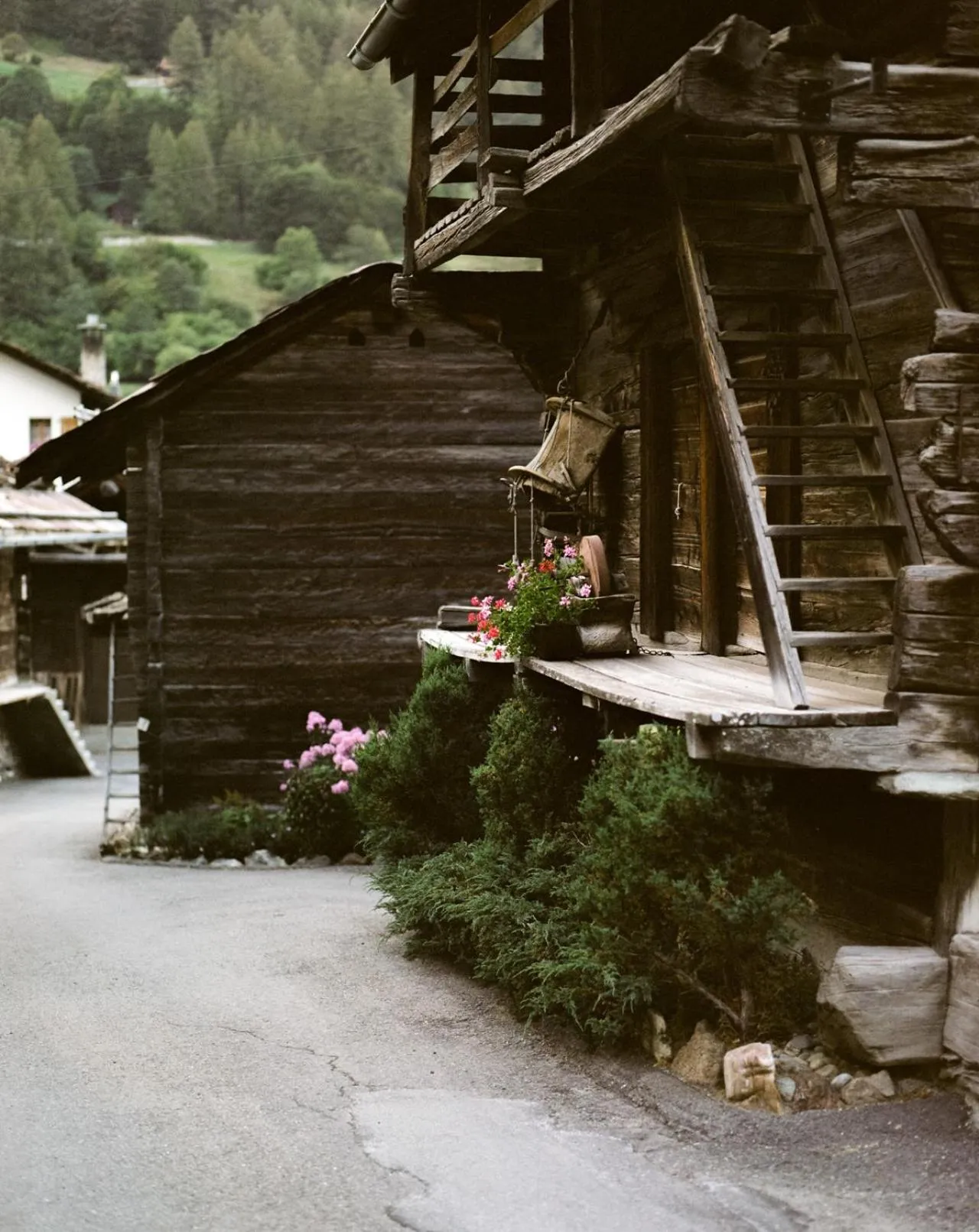 Other in Hôtel Dents de Veisivi