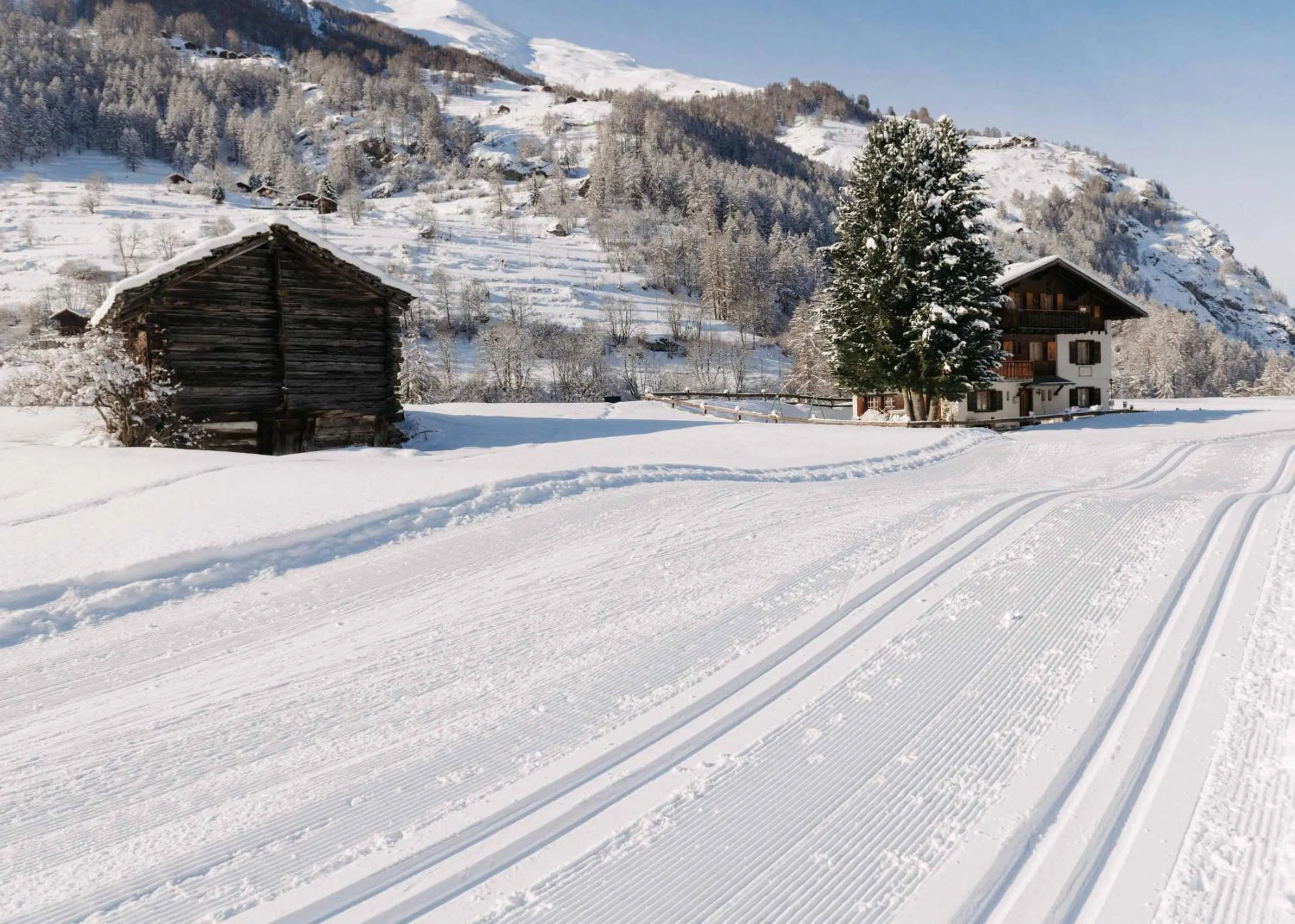Ski School in Hôtel Dents de Veisivi