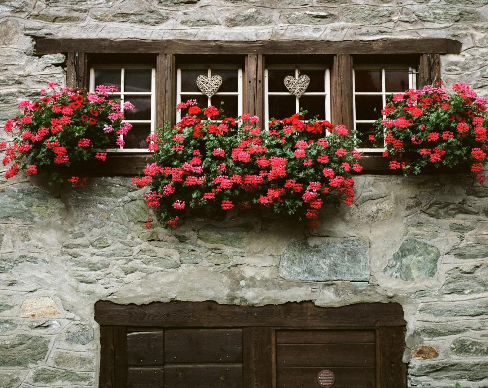 Garden in Hôtel Dents de Veisivi