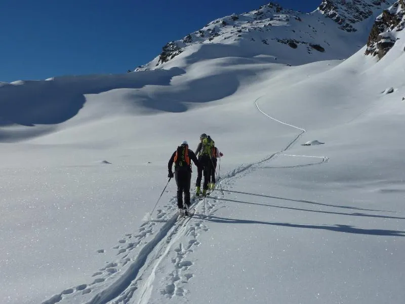 Skiing in Hôtel Dents de Veisivi