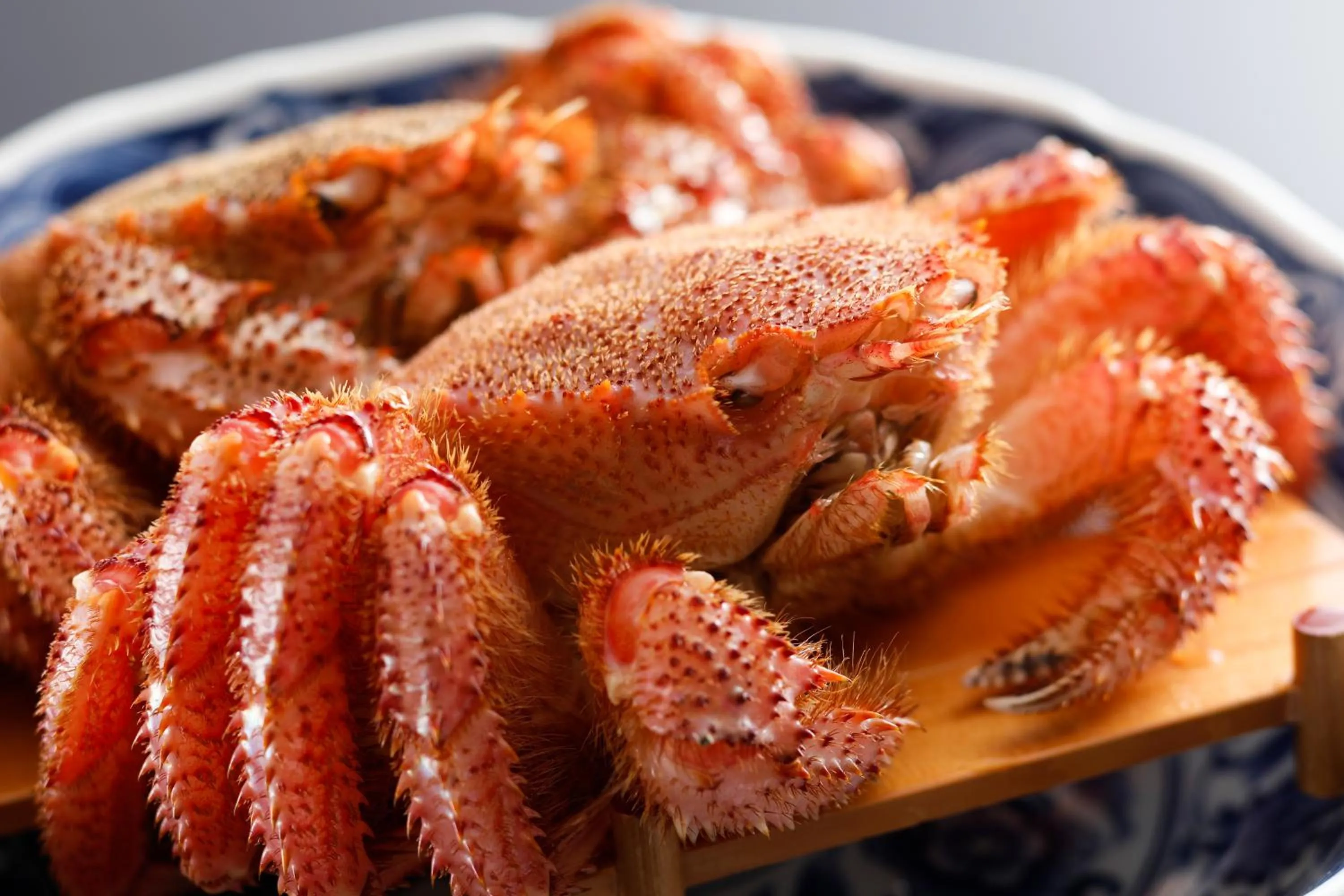 Hokuriku Yamashiro Onsen Hotel Kikyou