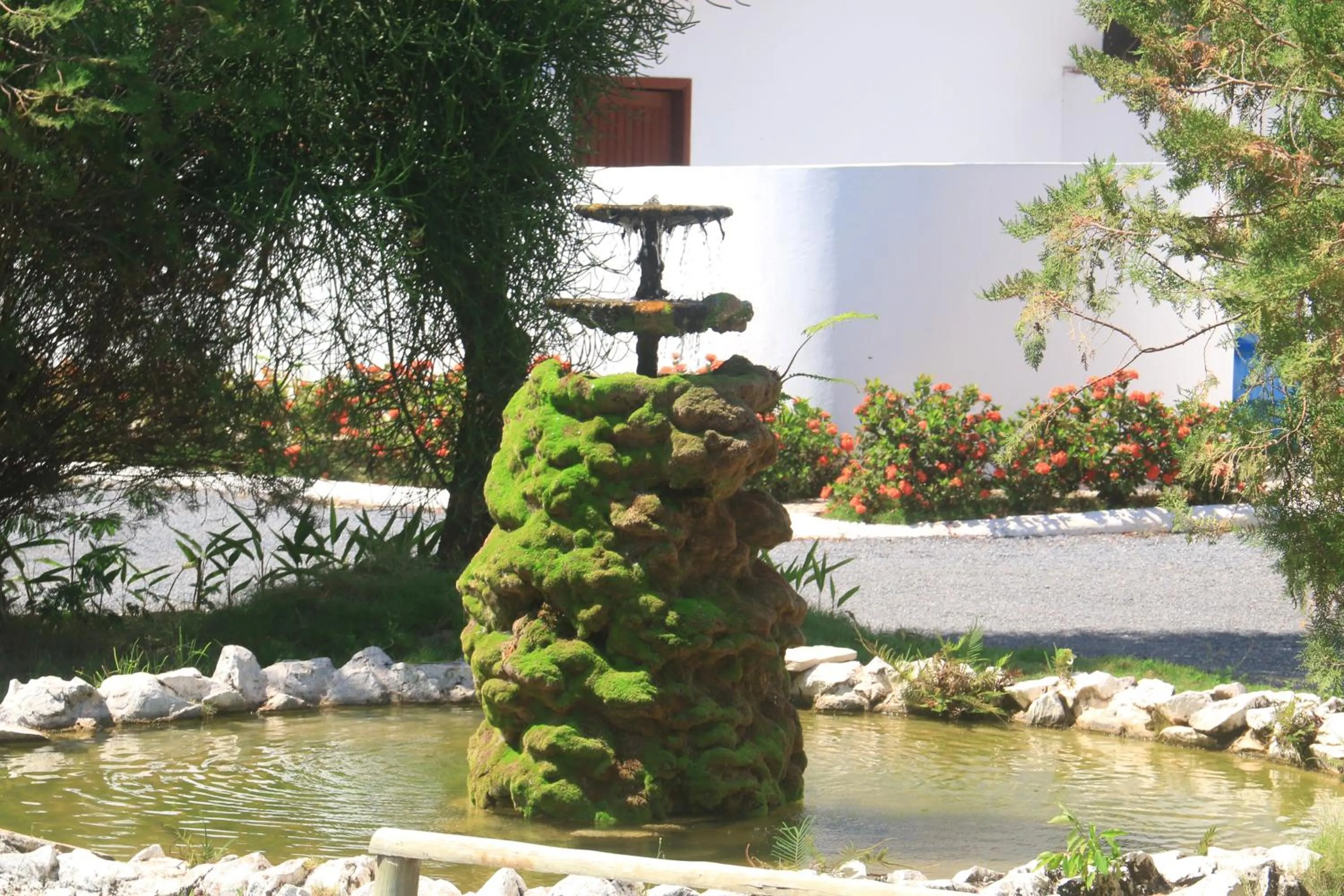 Garden in Hotel Pousada Bonsai