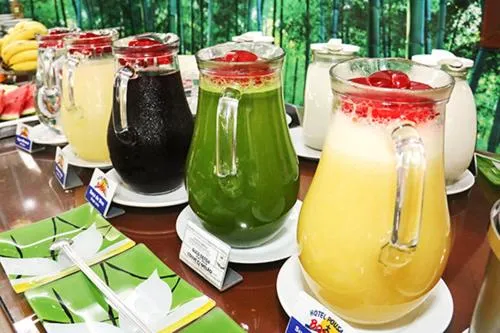 Hotel Pousada Bonsai