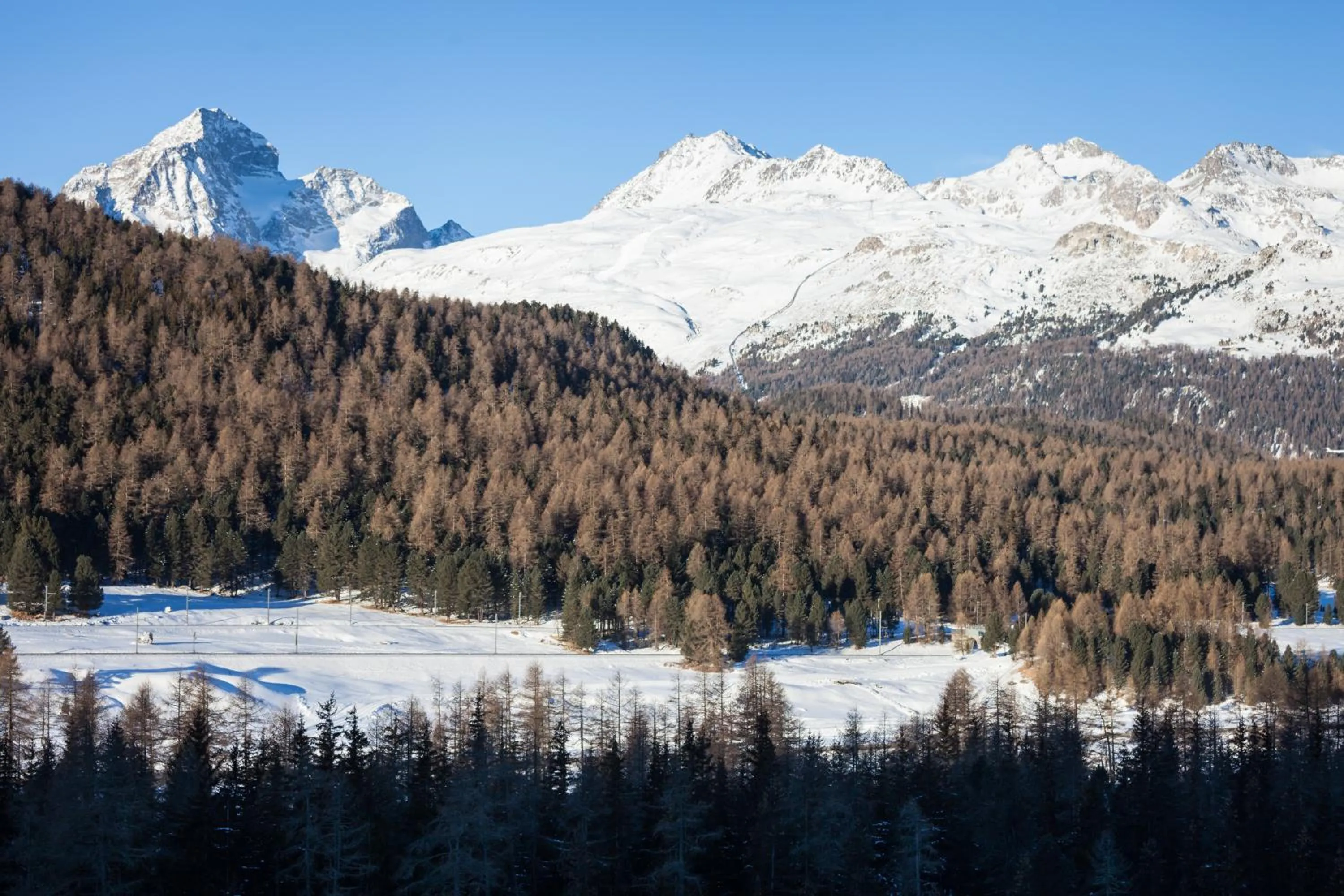 Mountain view in Schloss Hotel & Spa Pontresina