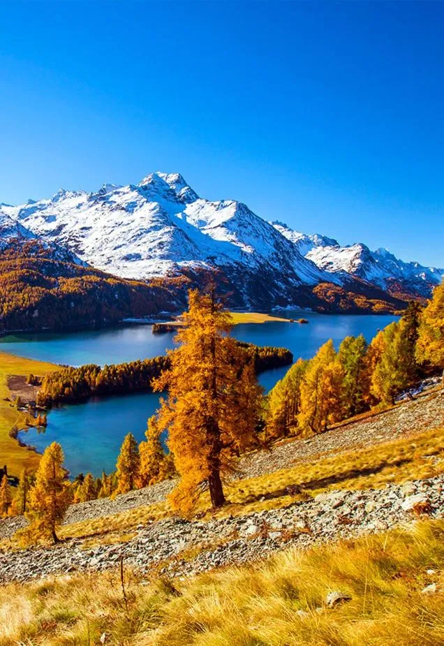 Nearby landmark in Schloss Hotel & Spa Pontresina