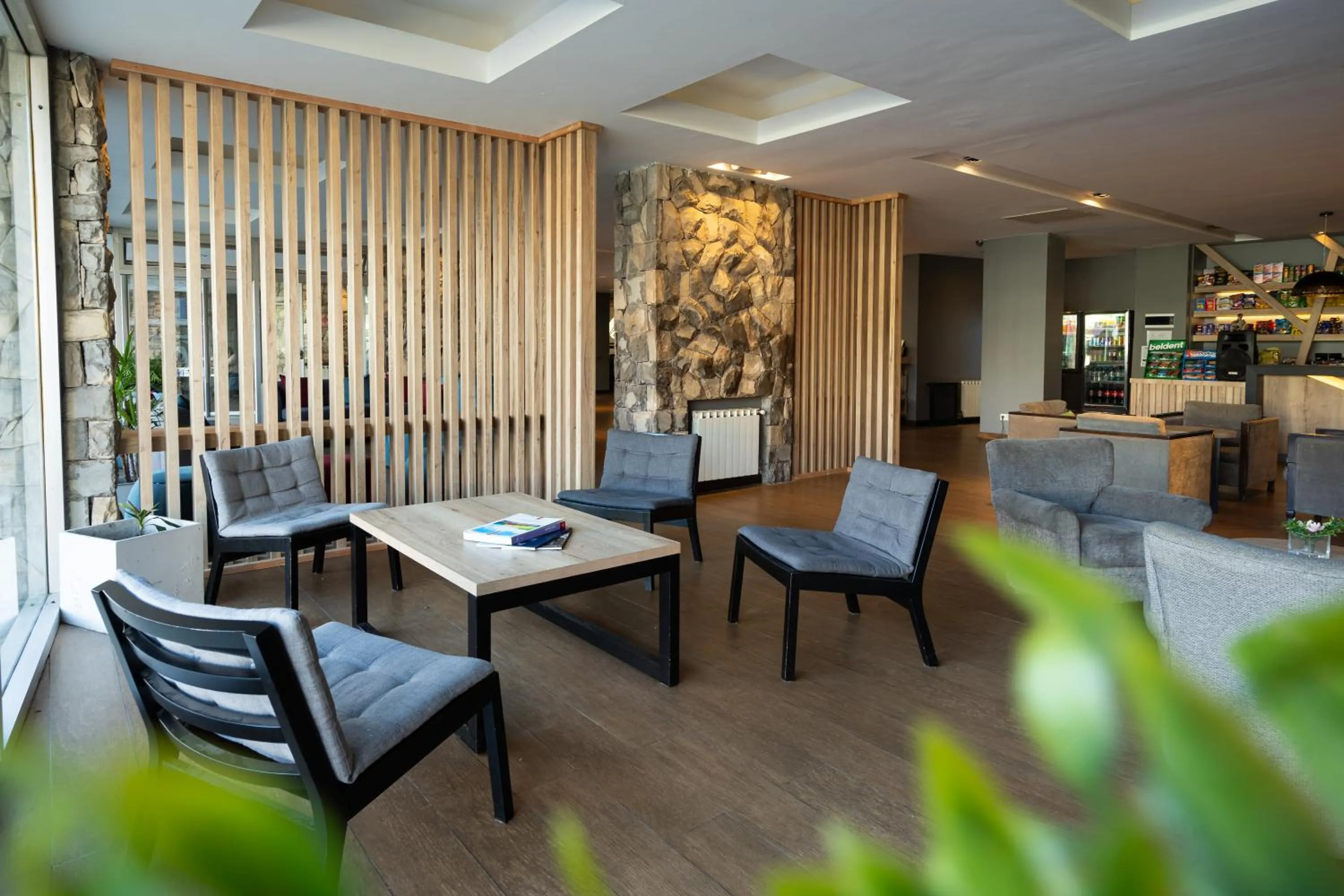 Communal lounge/ TV room in Lagos Andinos