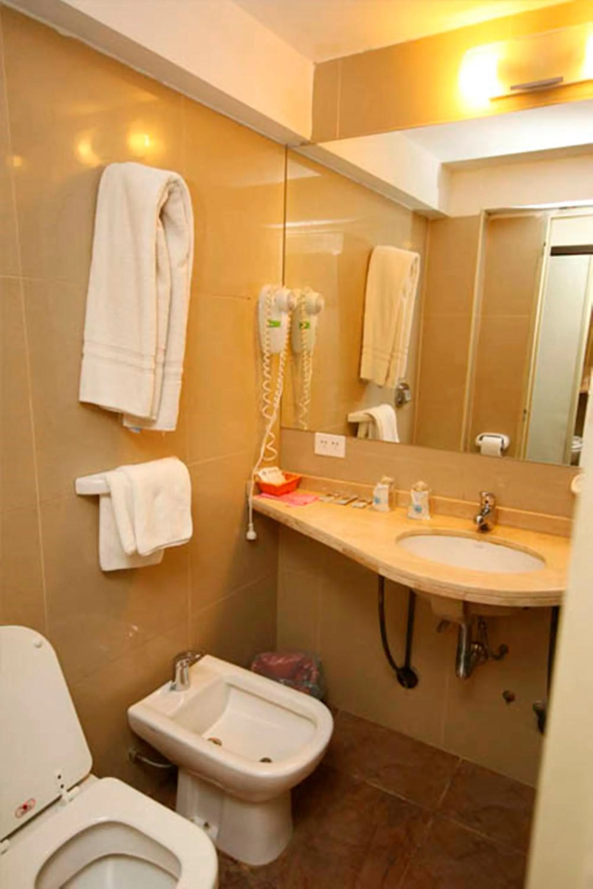 Bathroom in Lagos Andinos