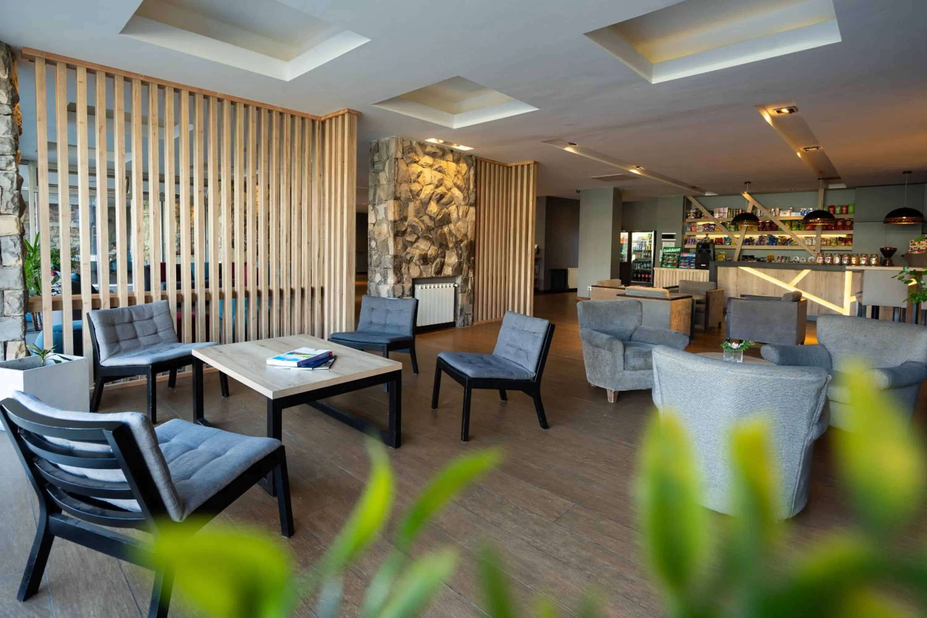 Living room in Lagos Andinos