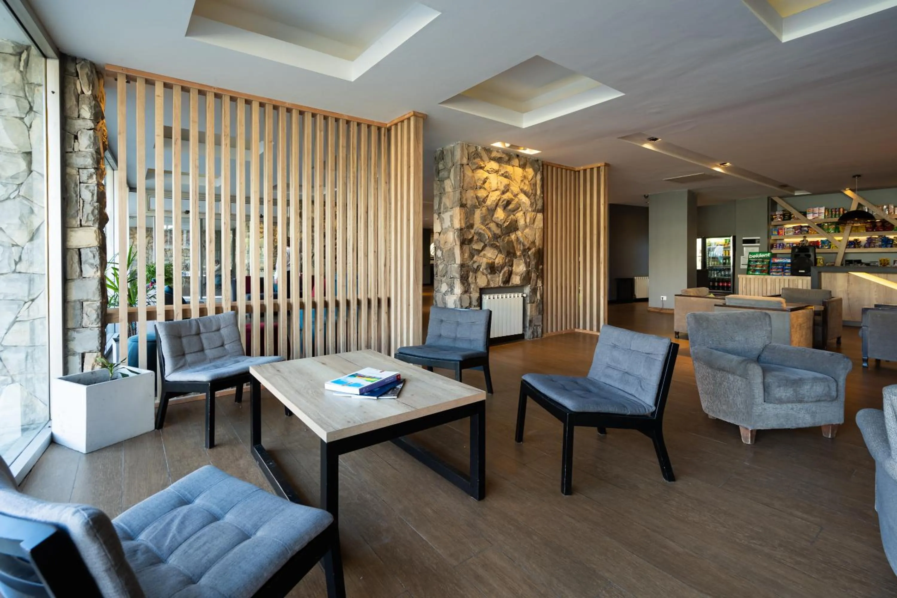 Living room in Lagos Andinos