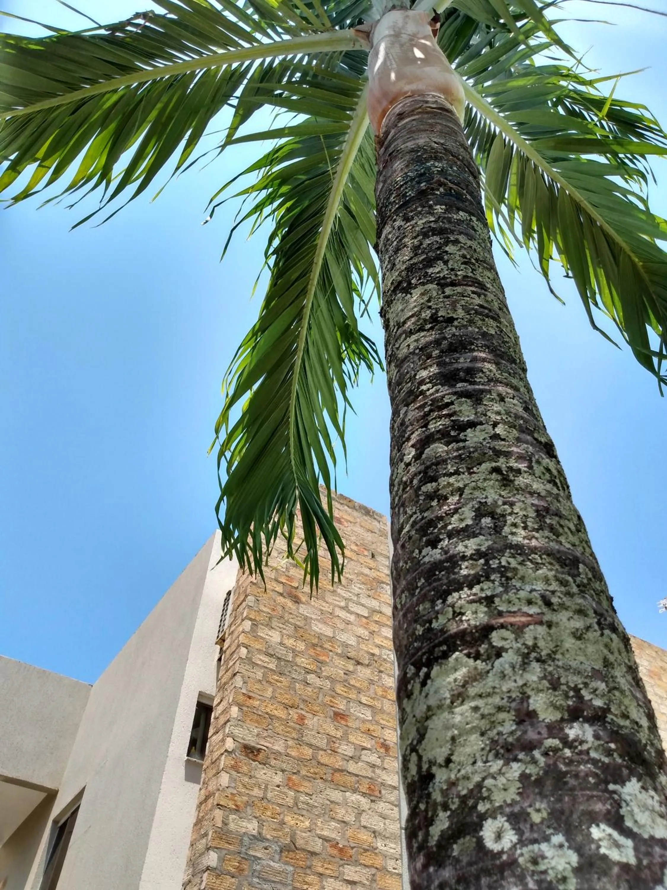 Property building in Pousada Praia do Flamengo