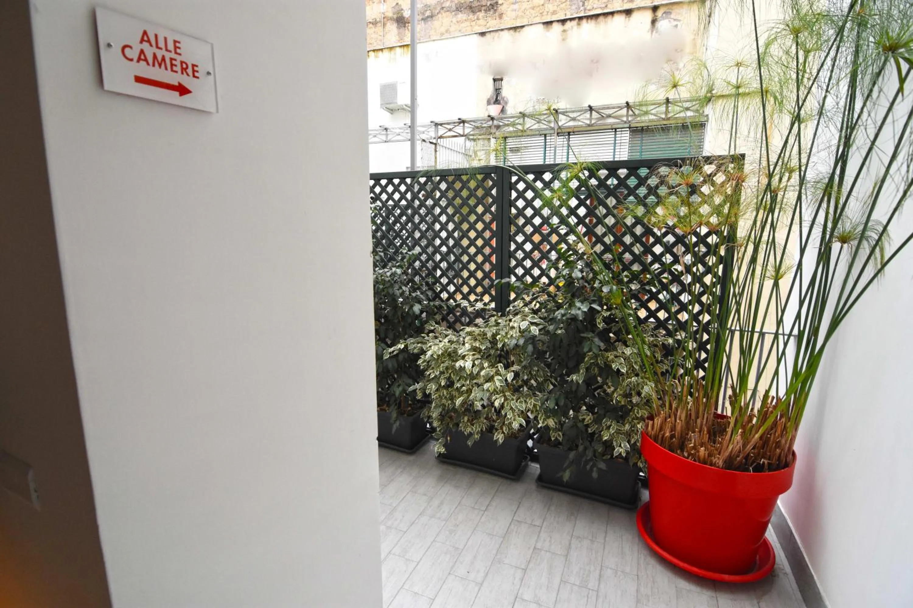 Balcony/Terrace in B&B Ninarella Napoli