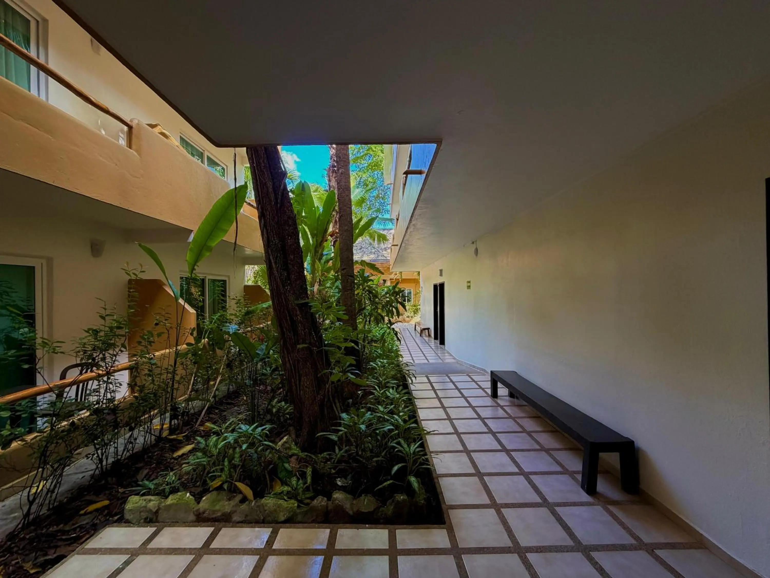 Area and facilities in Hotel Chablis Palenque