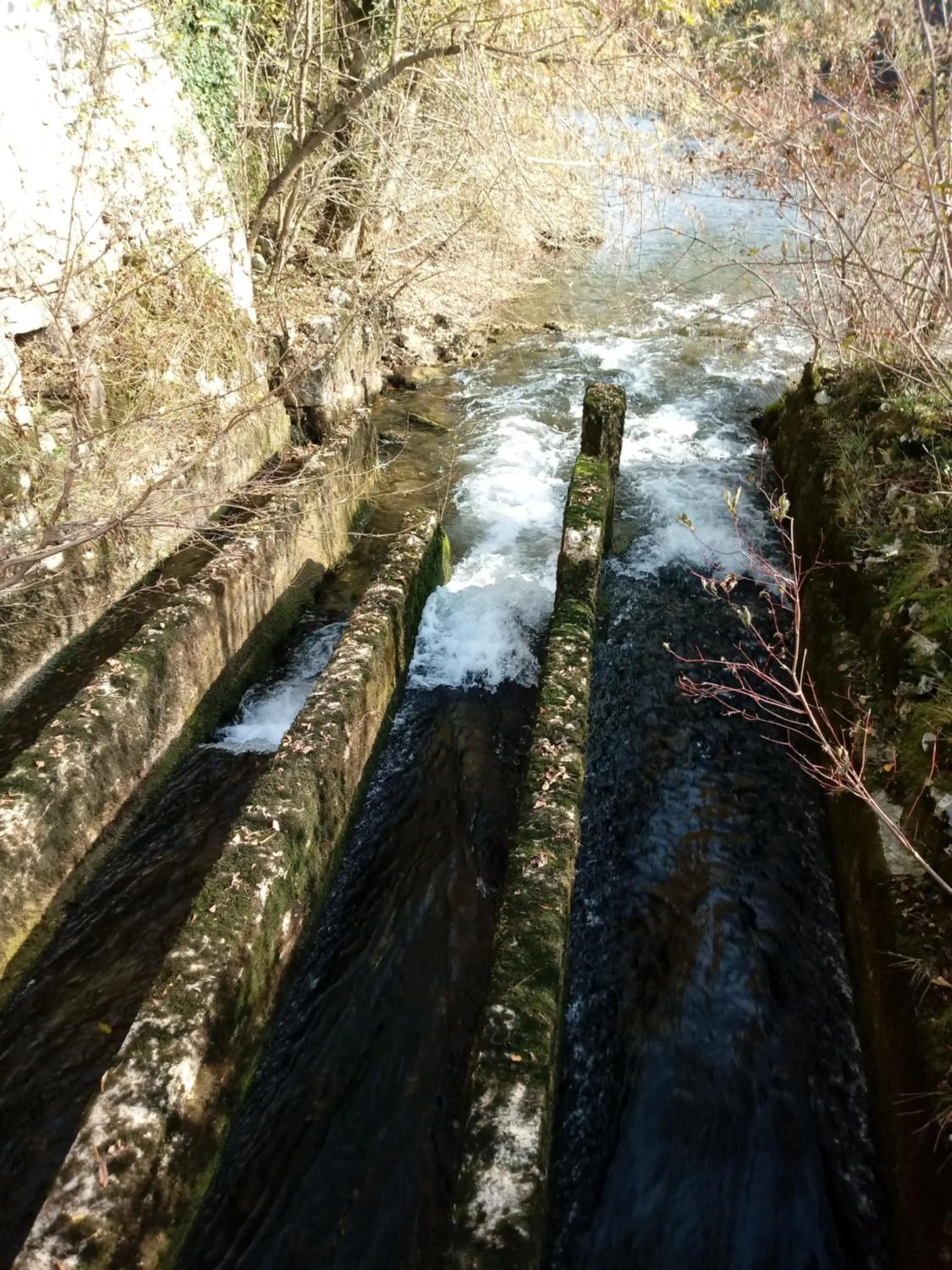 Natural landscape in Bed&Breakfast Zilje